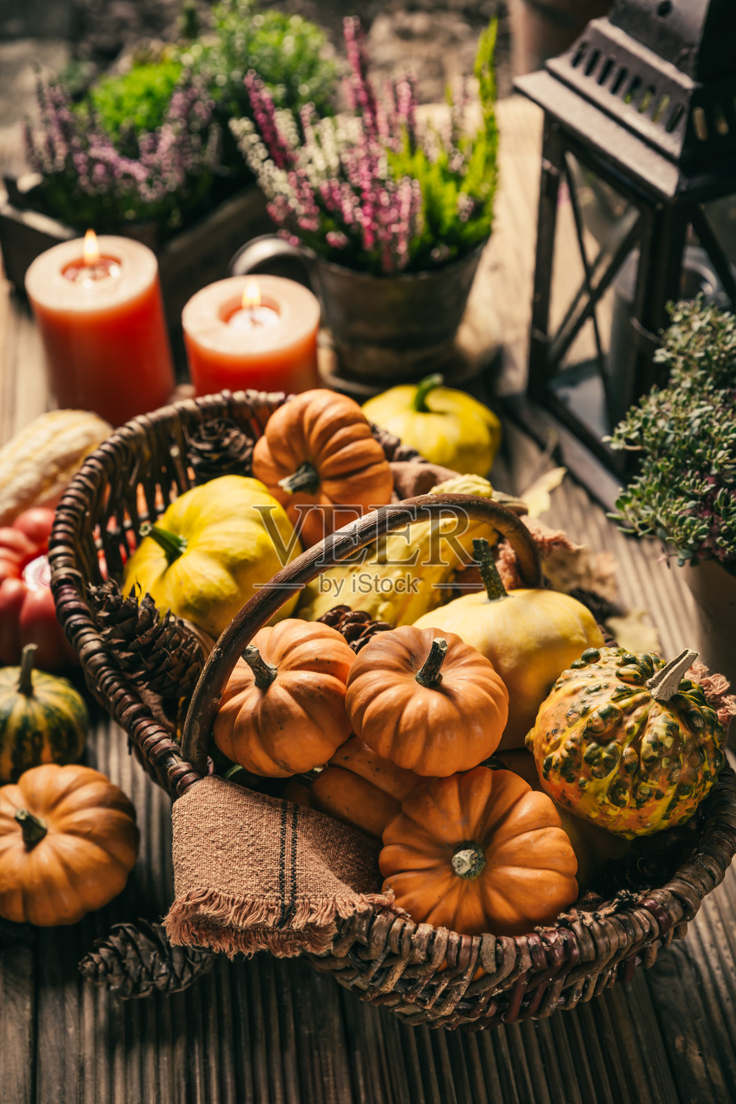 秋季露台和庭院装饰，配有南瓜、灯笼、植物和花卉照片摄影图片