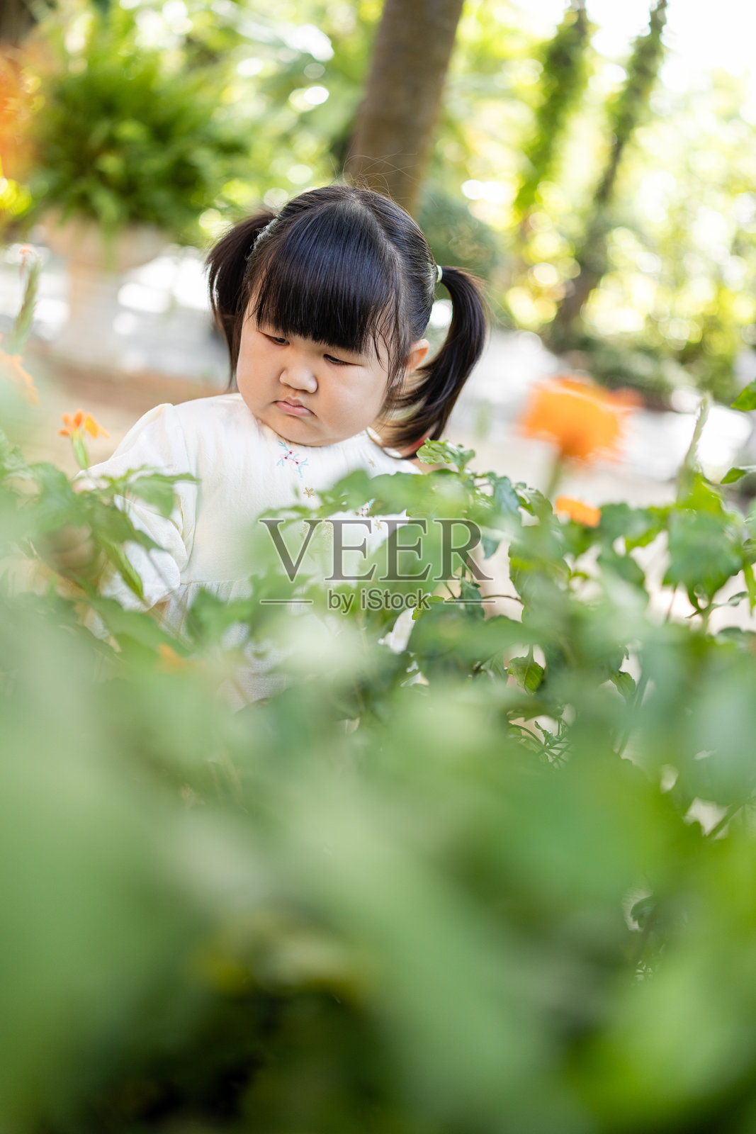 一个可爱的小女孩在公园里玩黄色花朵，一个可爱的小女孩戴着帽子在花园里闻花。一个可爱的小女孩在美丽的花园里玩耍。小园丁。照片摄影图片