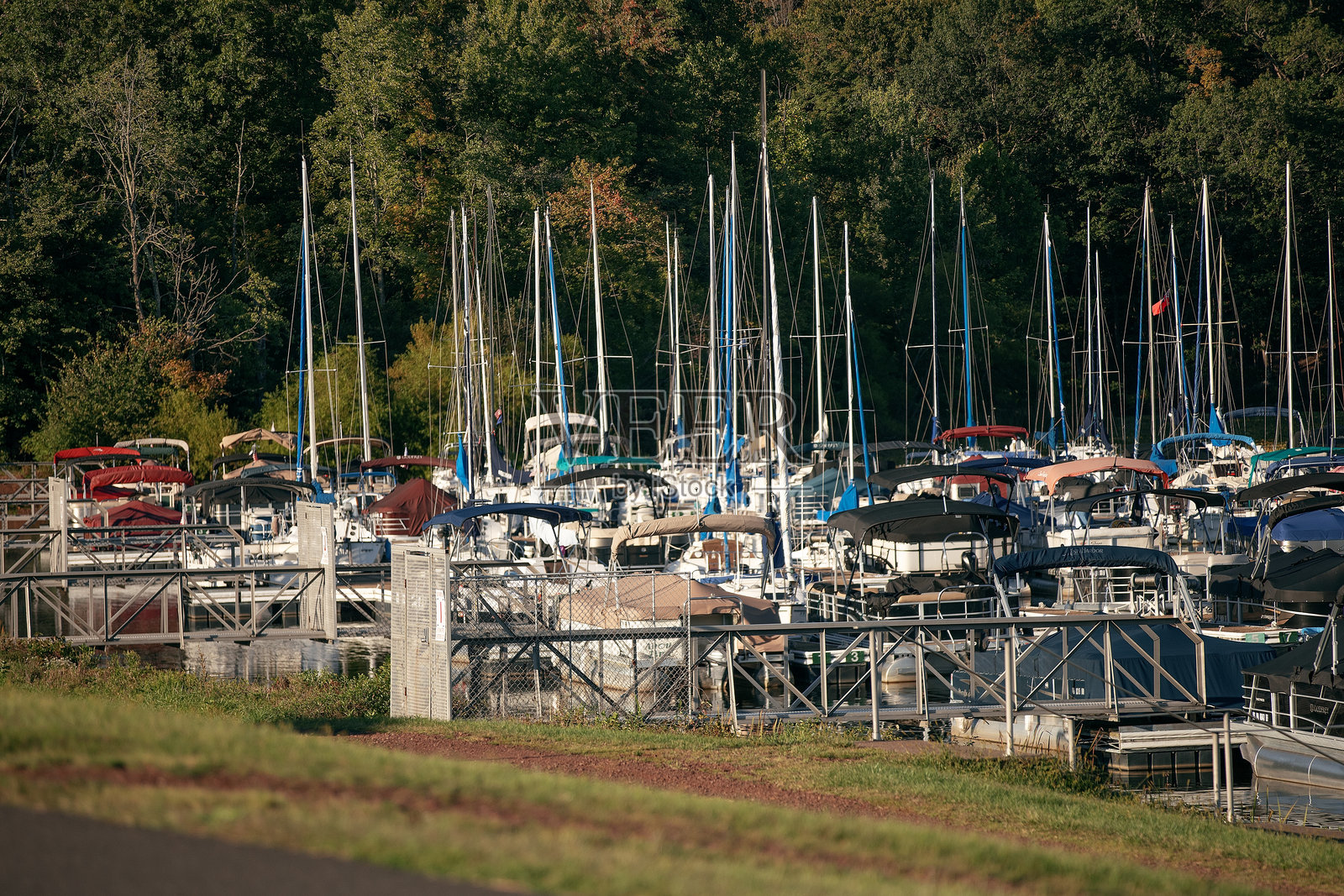 诺卡米克森州立公园的码头照片摄影图片