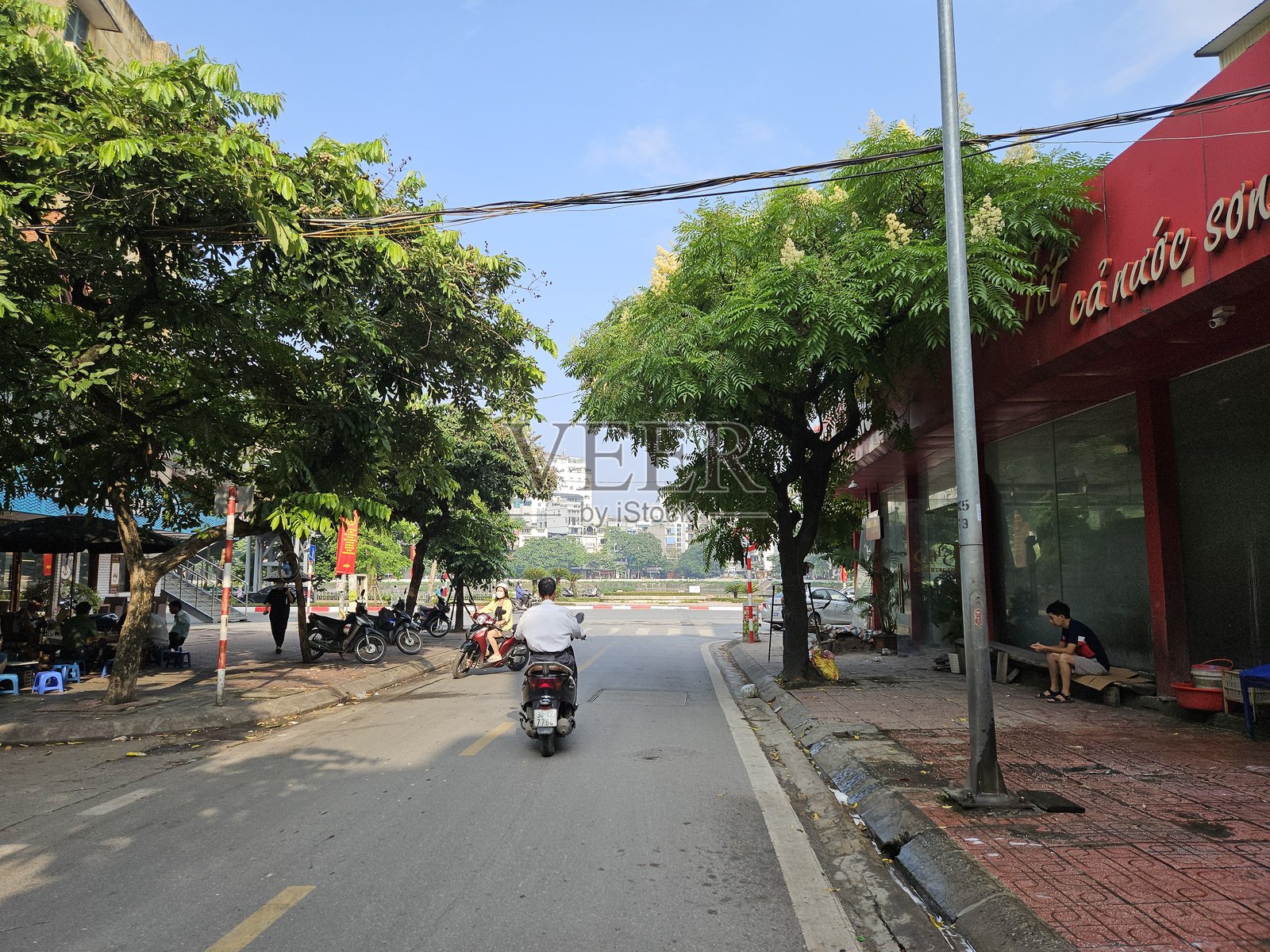越南河内一条安静的城市街道，绿树成荫，一辆摩托车驶过。照片摄影图片