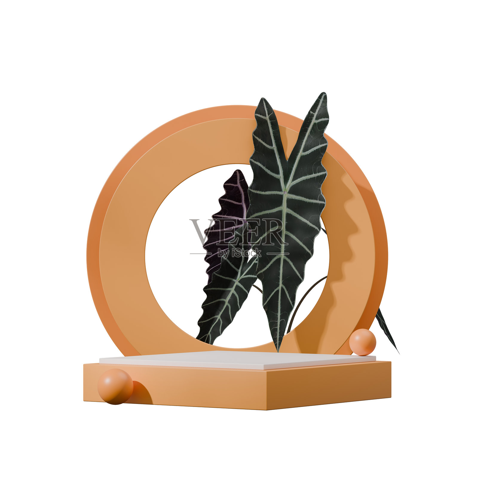 圆形背景图像，3D渲染的空白模型橙色块形状照片摄影图片