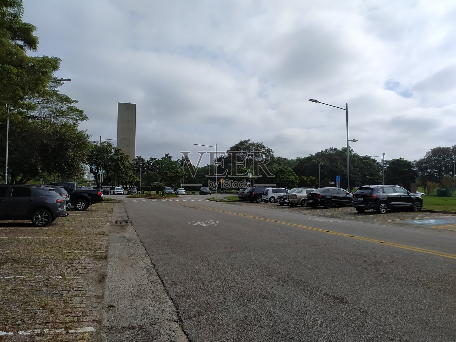 圣保罗大学校园内的普拉卡多雷洛基奥街，通常被称为“大学城”。照片摄影图片