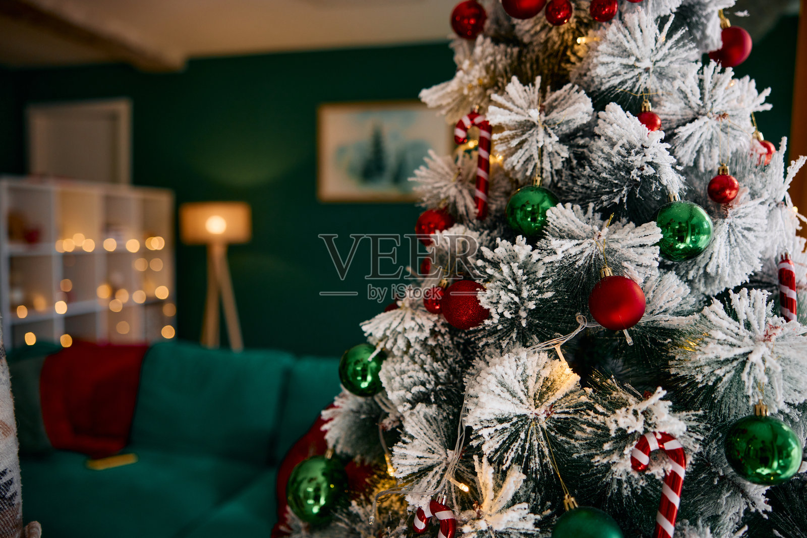装饰着红色和绿色球以及糖果手杖的圣诞树，位于一个温馨的客厅里照片摄影图片