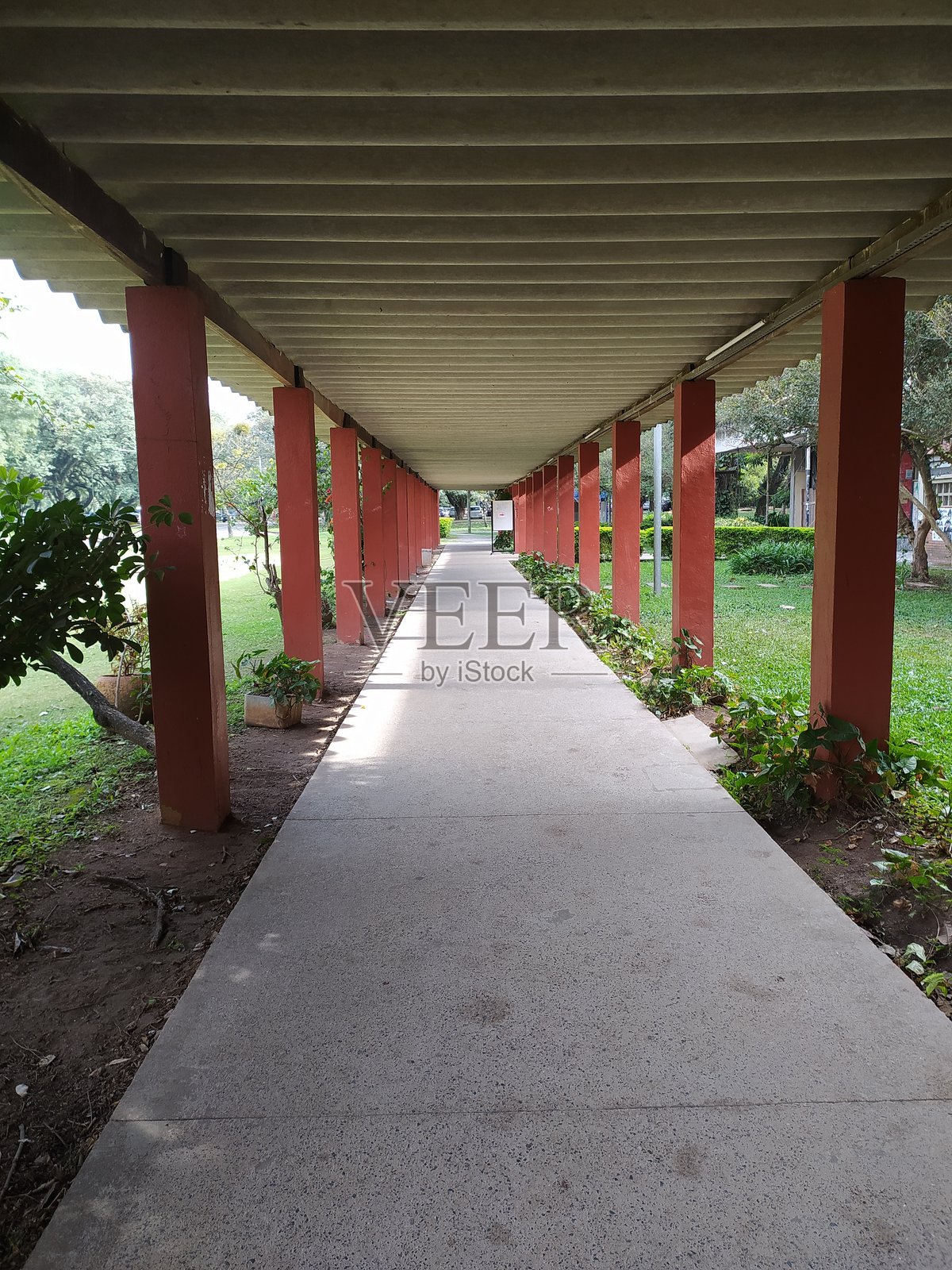 通往圣保罗大学教育学院的道路。照片摄影图片