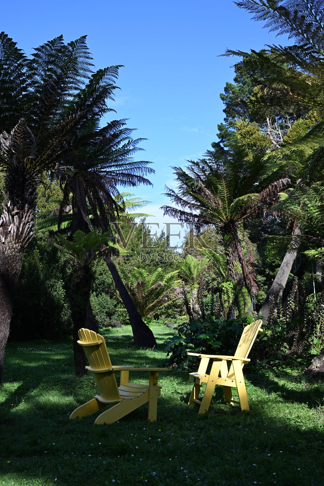 金门公园照片摄影图片