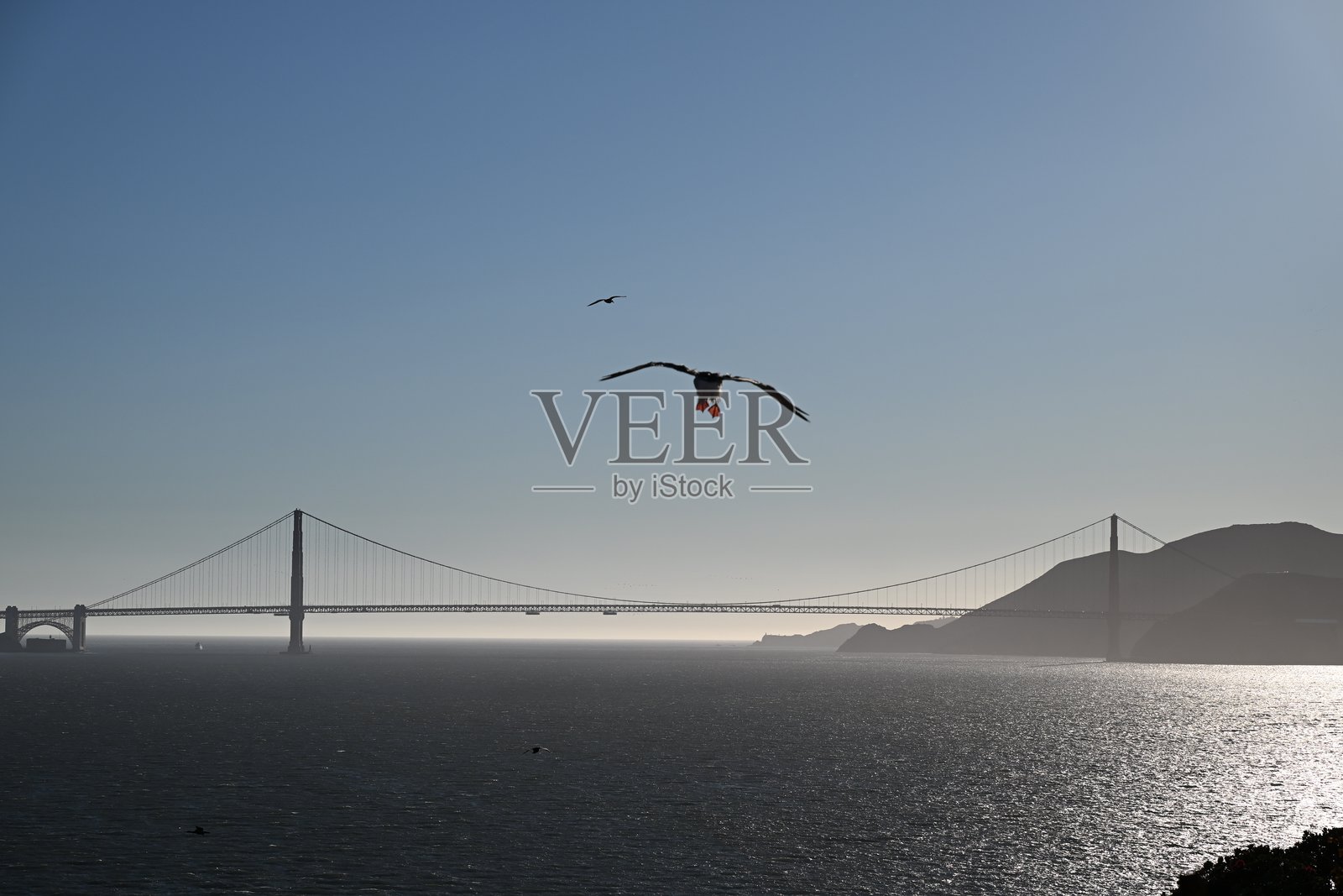 金门大桥照片摄影图片