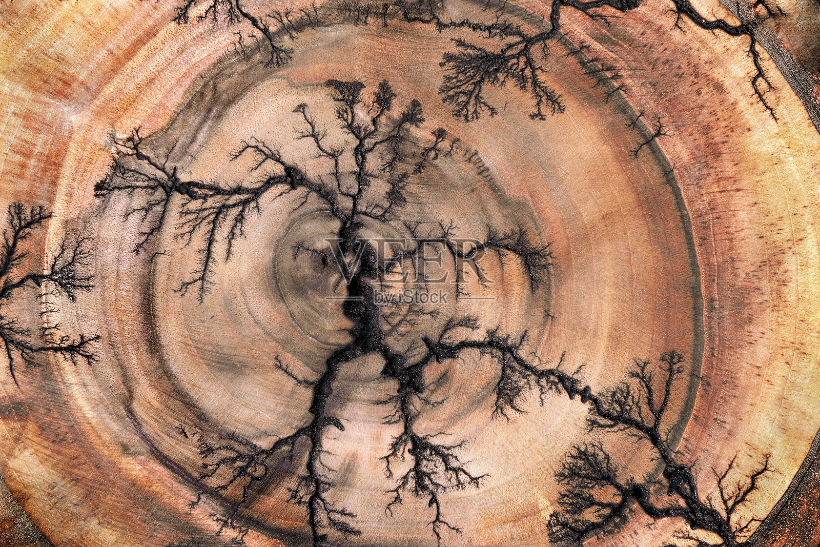 木材切面上的纹理。梨木纹理背景。抽象木饰。照片摄影图片