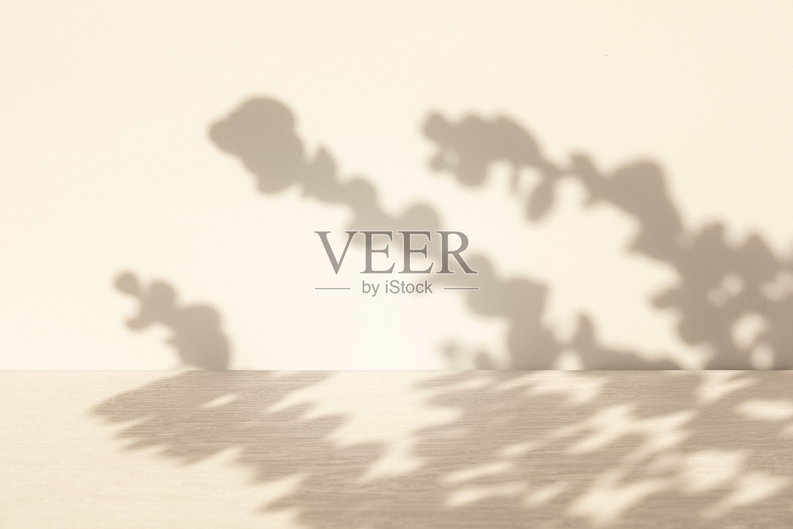 工作室风格的背景墙装饰展示，使用白色和米色调，窗户投射的阴影，概念创造出一种装饰效果。照片摄影图片