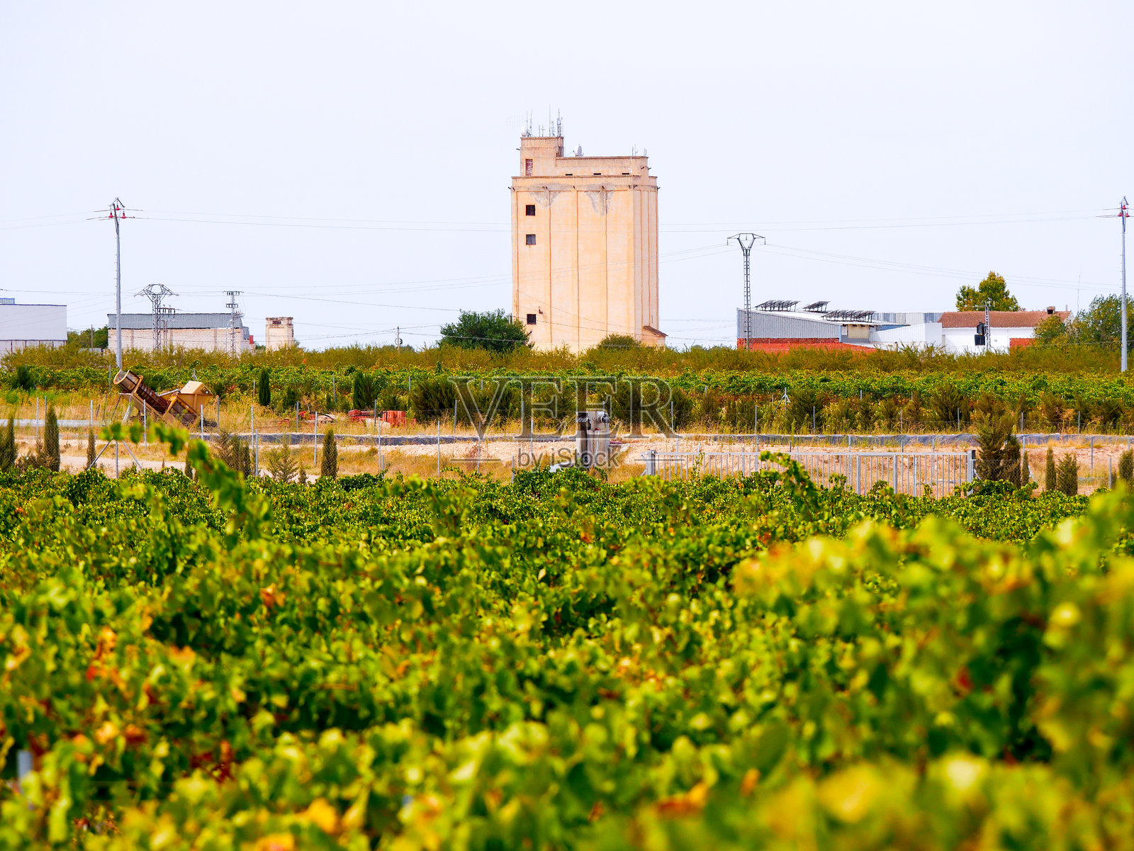 西班牙托莱多的阿尔卡尔达特村葡萄种植的葡萄园。照片摄影图片