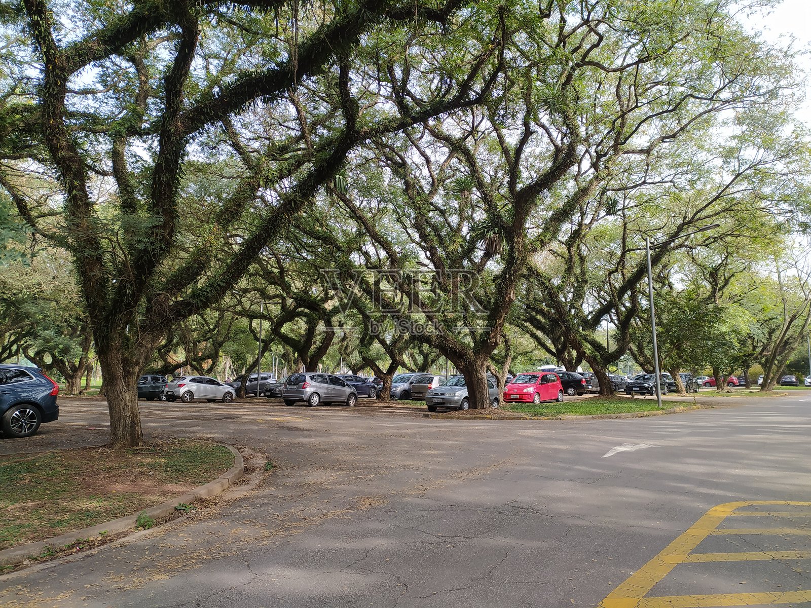 圣保罗大学教育学院的停车场。照片摄影图片