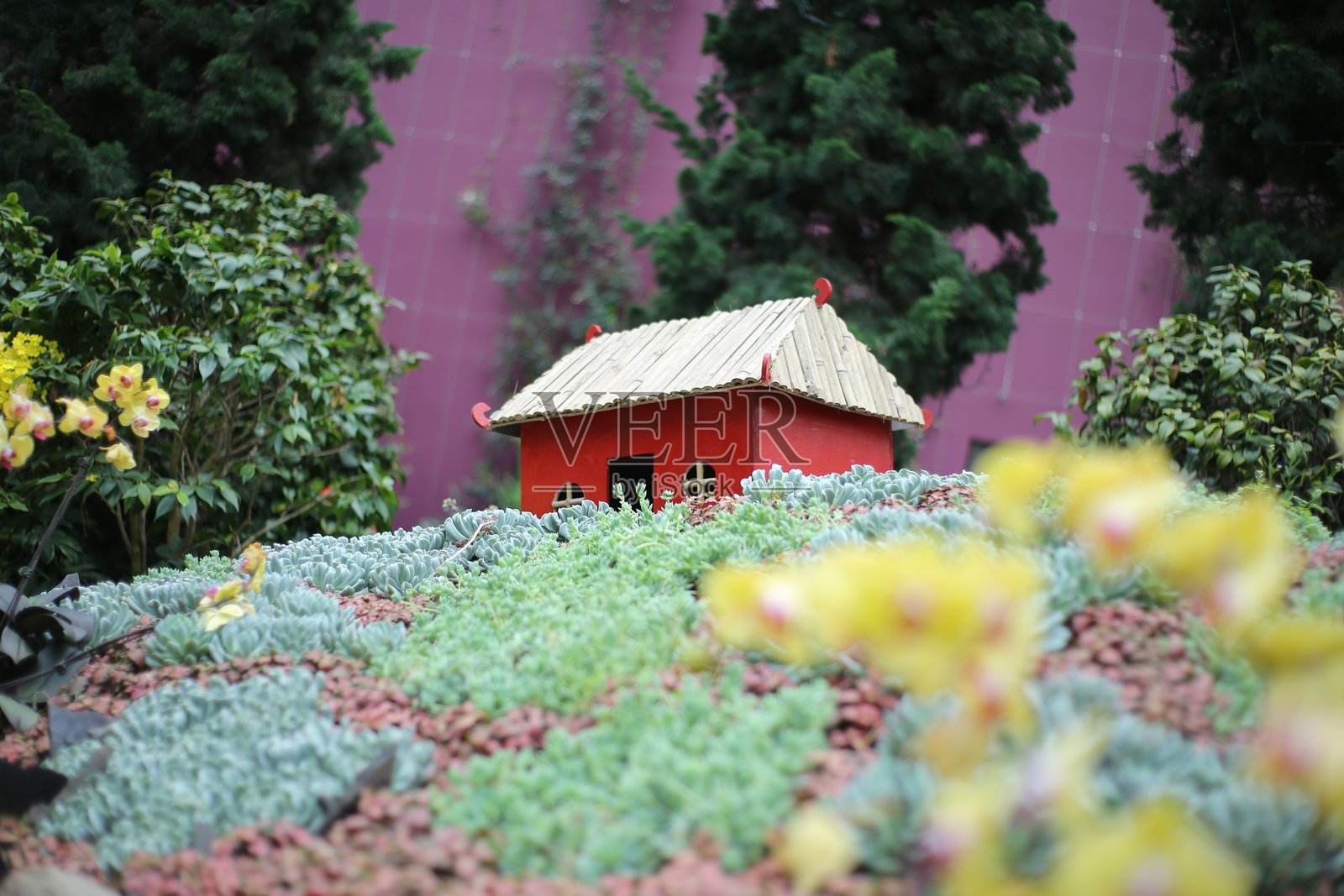 绿色植物和花朵中的迷你红房子照片摄影图片
