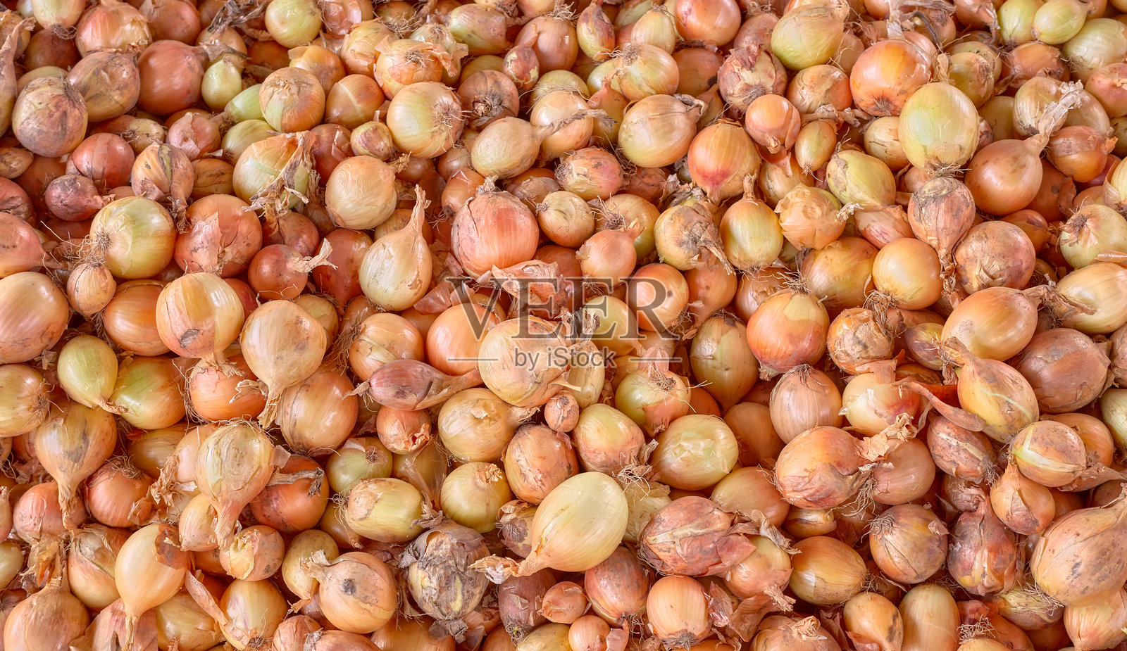 一堆洋葱的照片。照片摄影图片