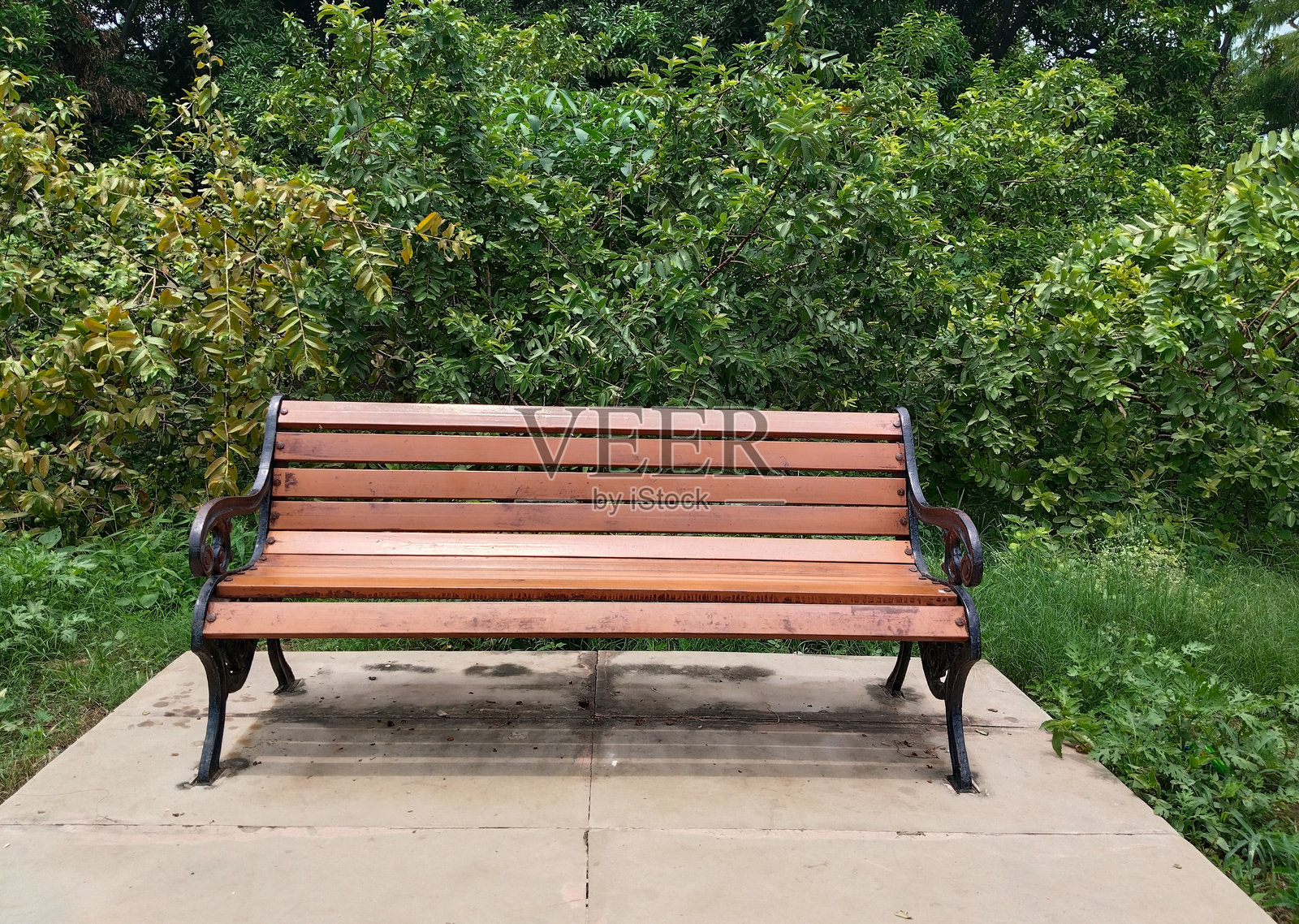 户外公园中的经典木铁长椅，空置的座椅家具放置在铺砌的地面上，背景是郁郁葱葱的灌木，宁静的公共花园环境适合放松和休息。照片摄影图片
