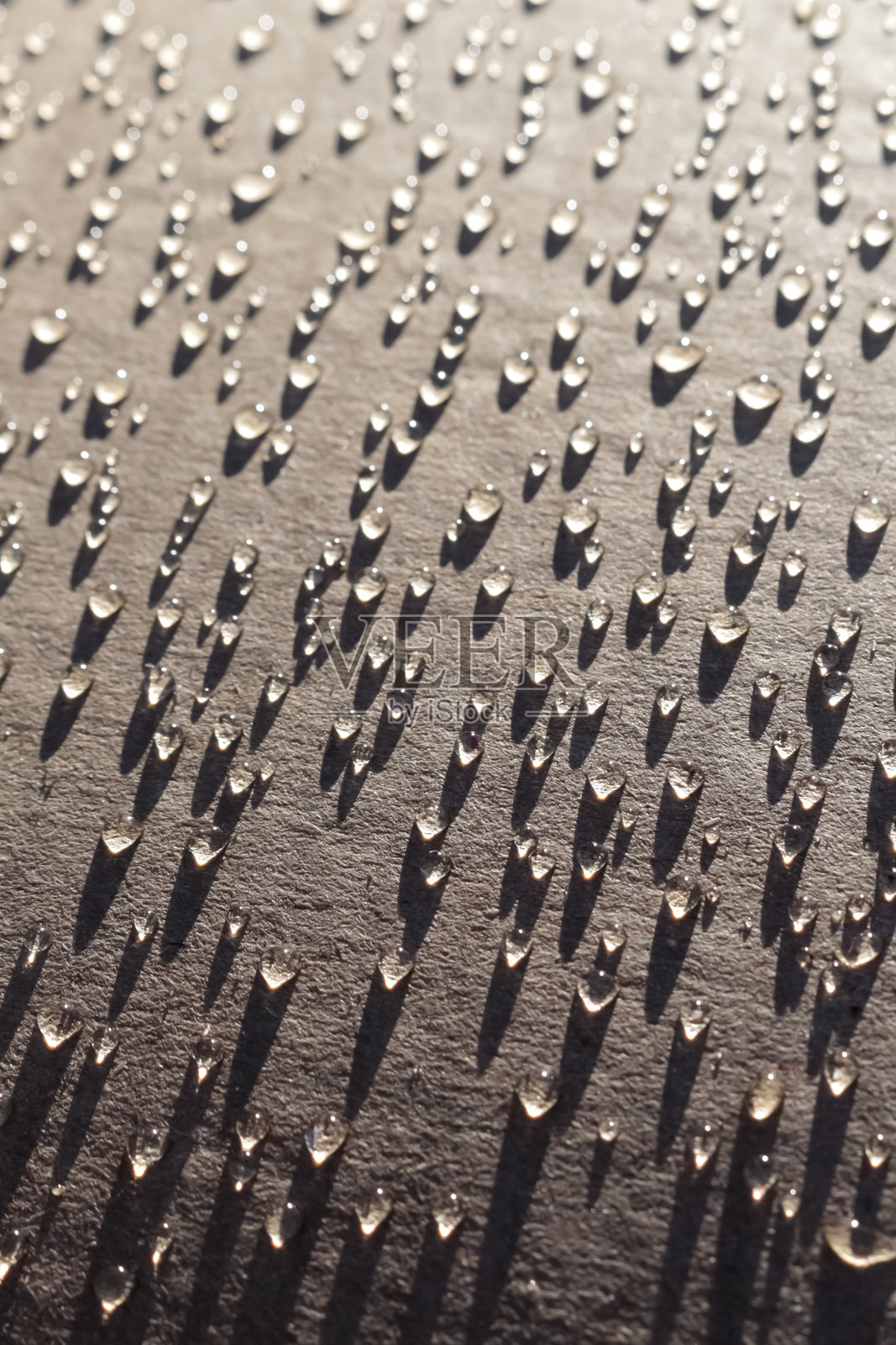 露珠照片摄影图片