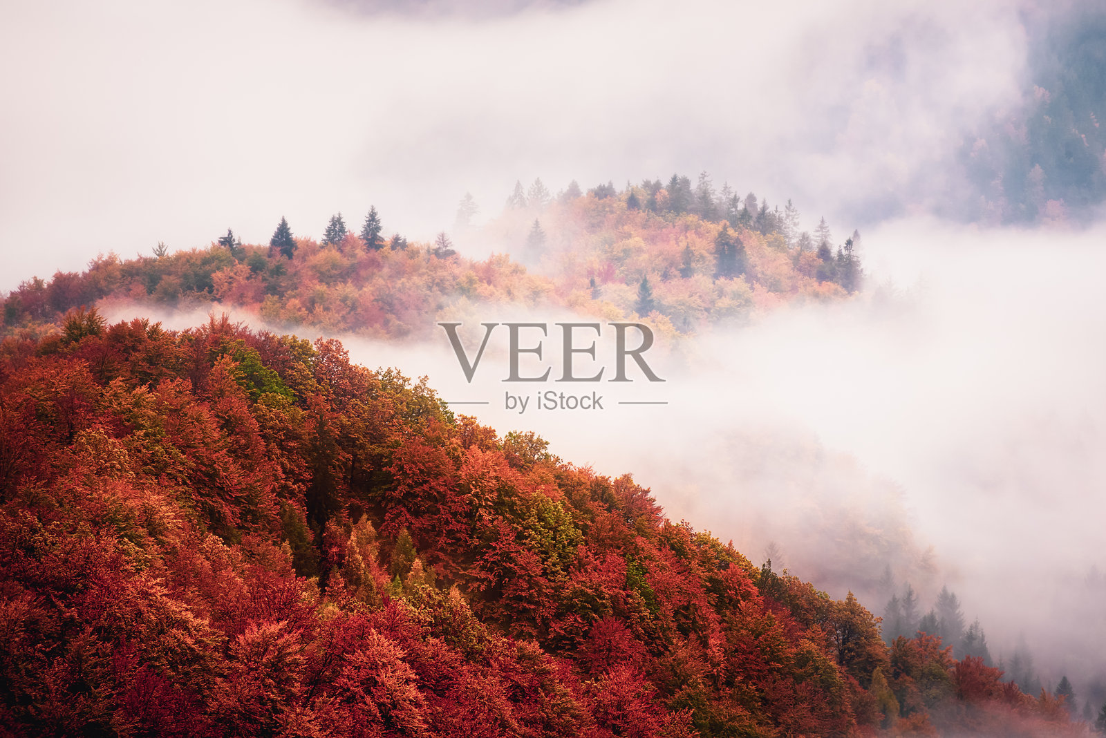 雾气弥漫的山地风景照片摄影图片