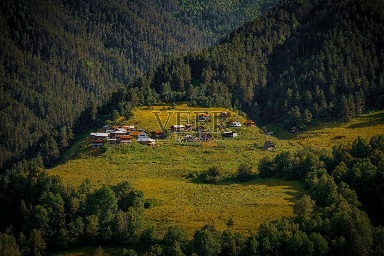 格鲁吉亚被森林环绕的山村照片摄影图片