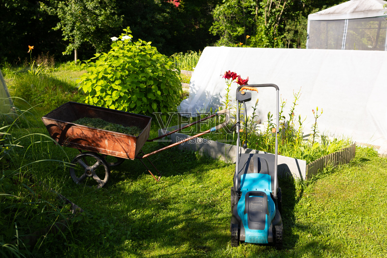 电动割草机停在绿色草坪上，电源线缠绕成螺旋状。照片摄影图片