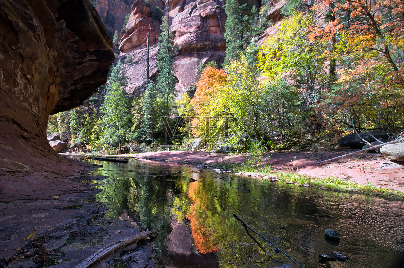 橡树溪照片摄影图片