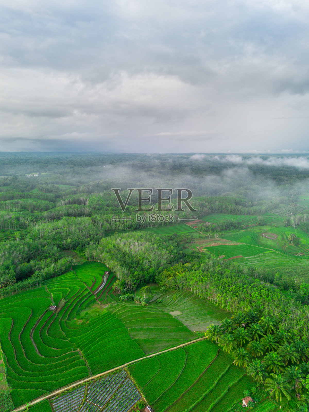 美丽的早晨景色，印度尼西亚全景，稻田与美丽的色彩和自然光的天空照片摄影图片