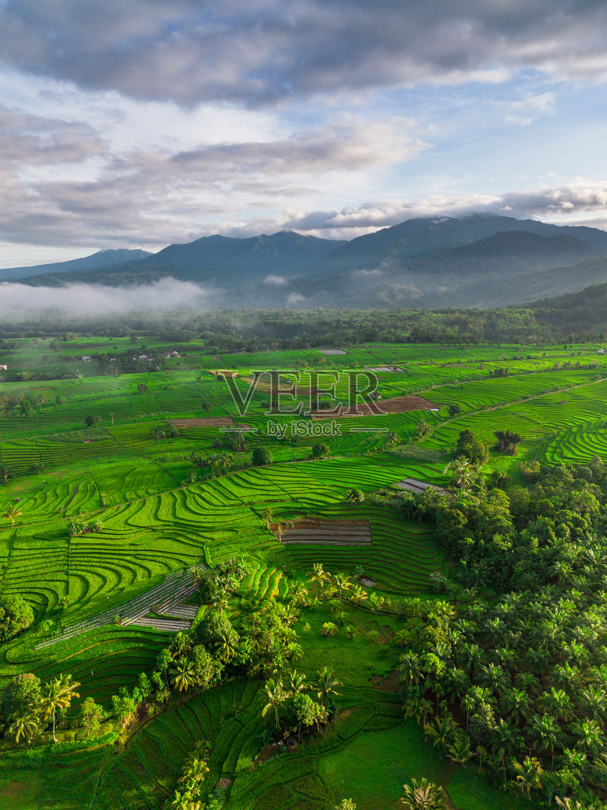 美丽的早晨景色，印度尼西亚全景，稻田与美丽的色彩和自然光的天空。照片摄影图片