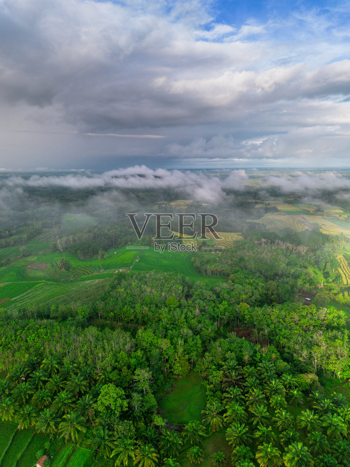 美丽的早晨景色，印度尼西亚全景，稻田与美丽的色彩和自然光的天空。照片摄影图片