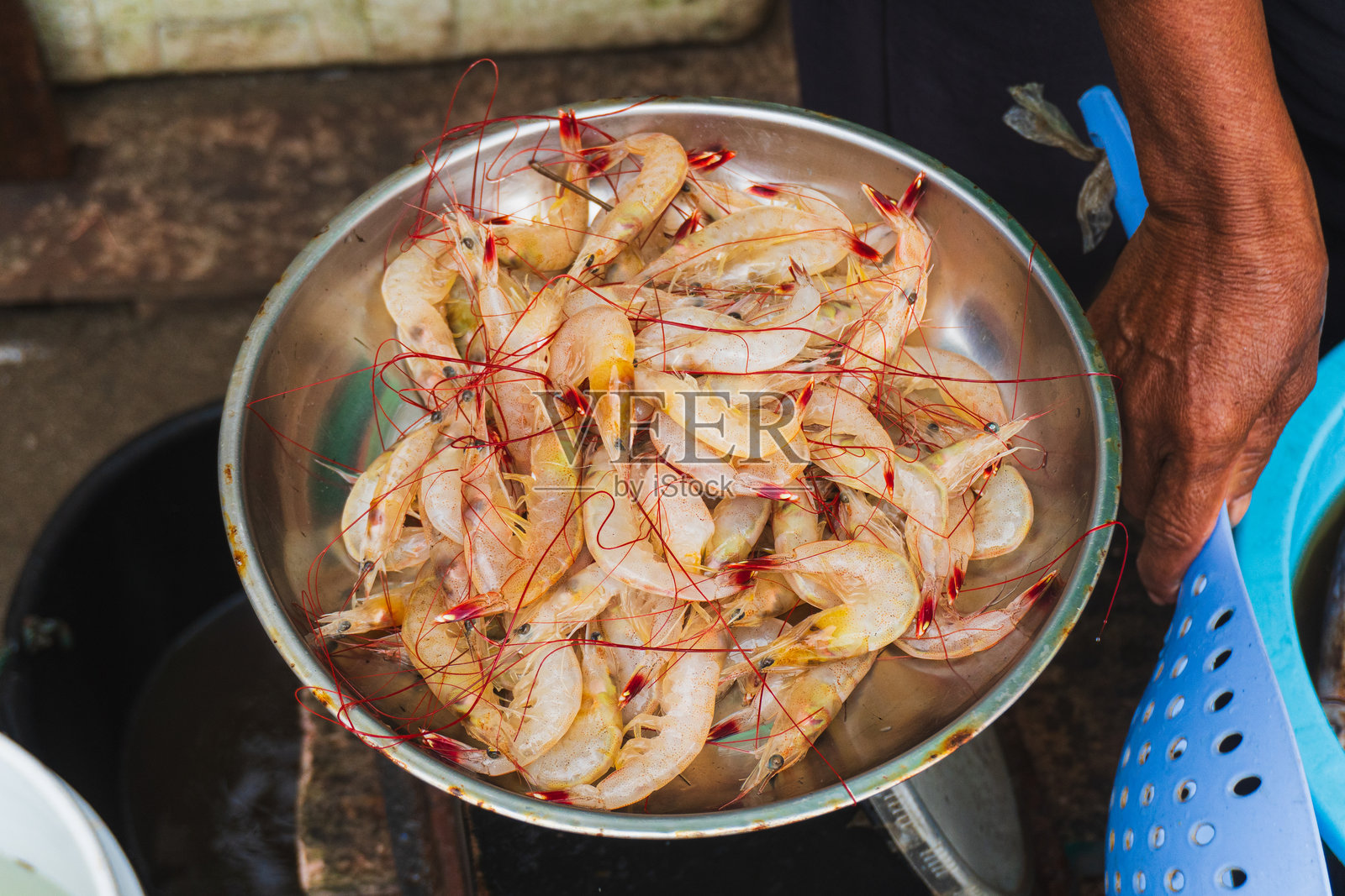 新鲜捕捞的虾在鱼市出售。照片摄影图片