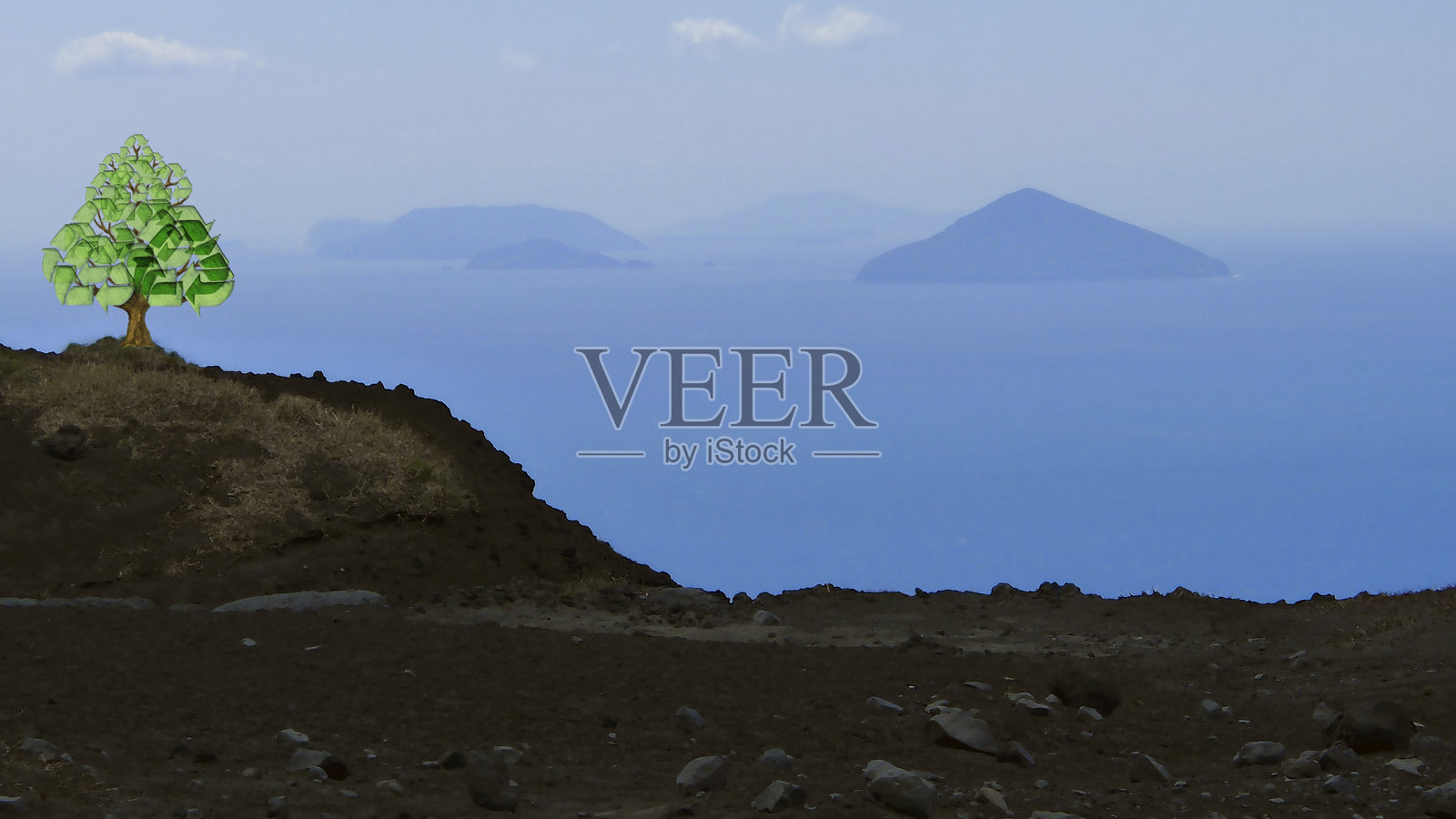 回收标志的树照片摄影图片