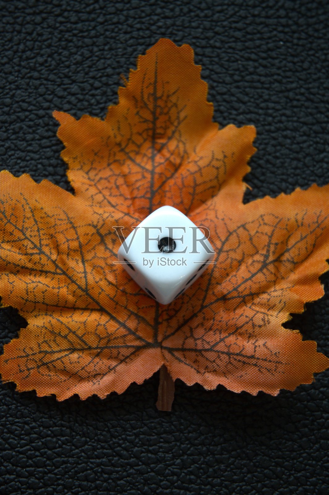 白色骰子放在棕色秋叶上，黑色皮革背景照片摄影图片