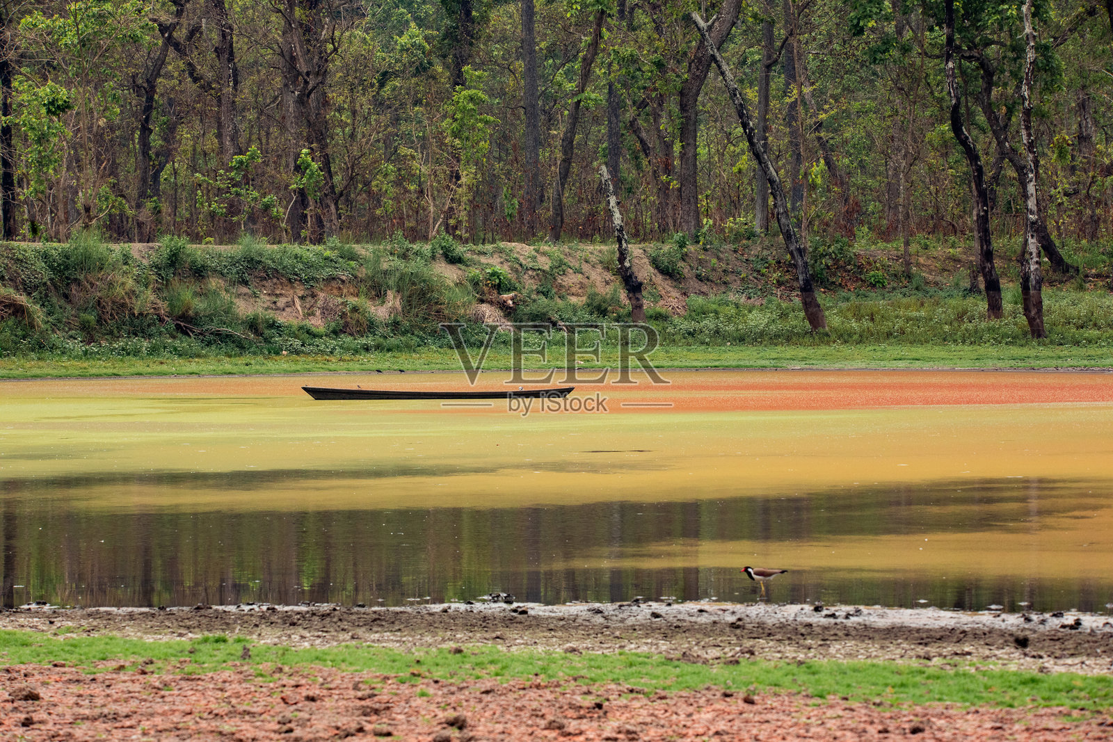 奇特旺国家公园宁静湖面上的木船照片摄影图片