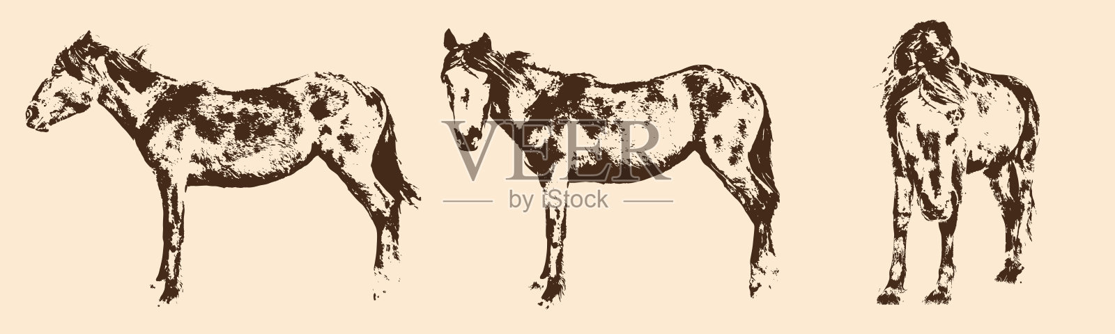 马的轮廓剪影矢量插图插画图片素材