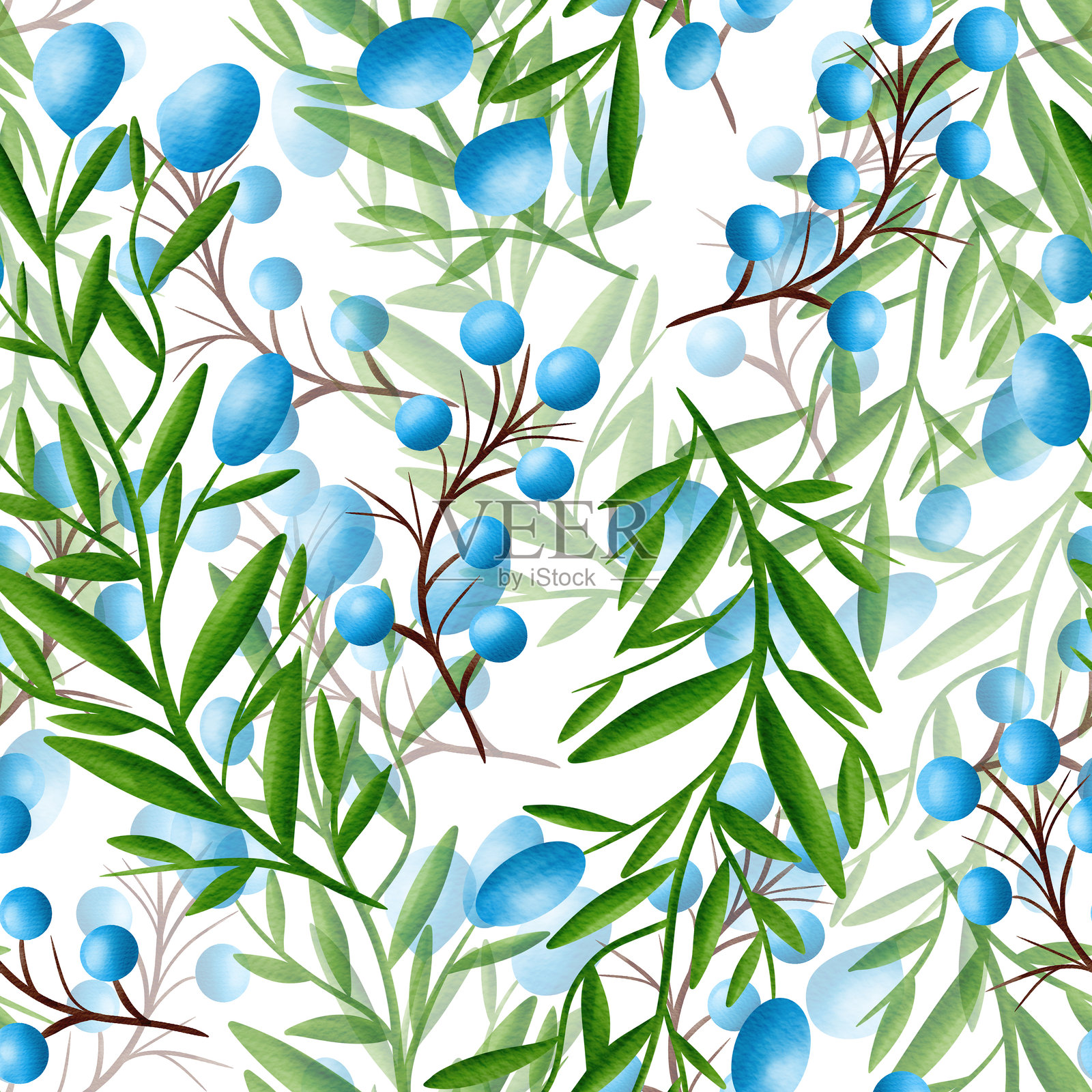 美丽的蓝莓和带叶子的绿色枝条插画图片素材