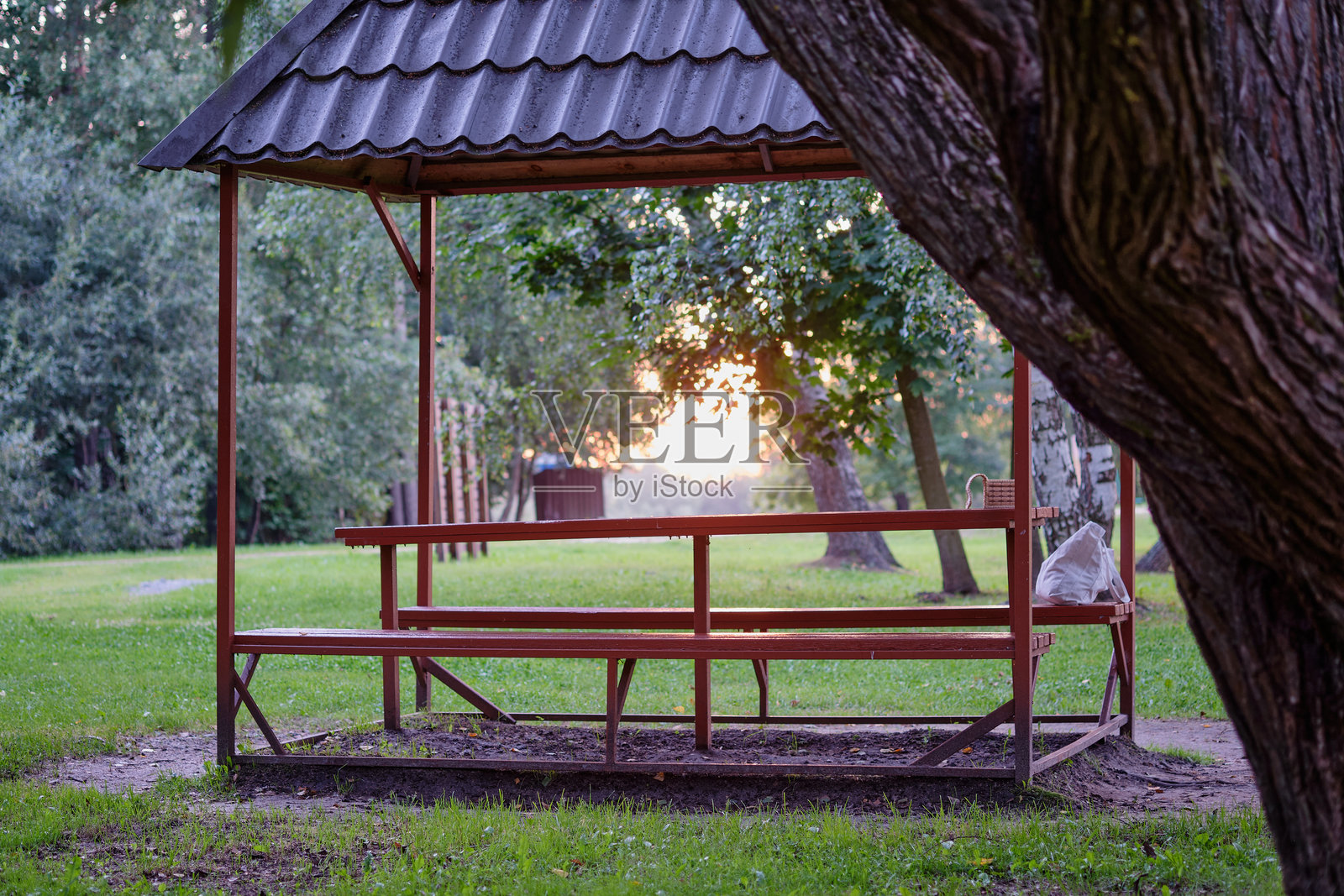 一个迷人的凉亭静静地坐落在一个生机勃勃的公园中，四周被绿树环绕，金色的阳光在日落时透过树梢洒下，营造出一个宁静的沉思氛围。照片摄影图片