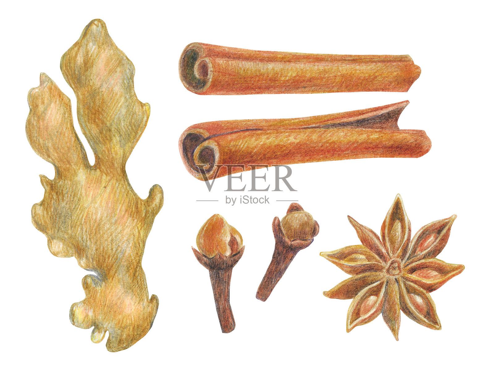 一组手绘香料插图插画图片素材