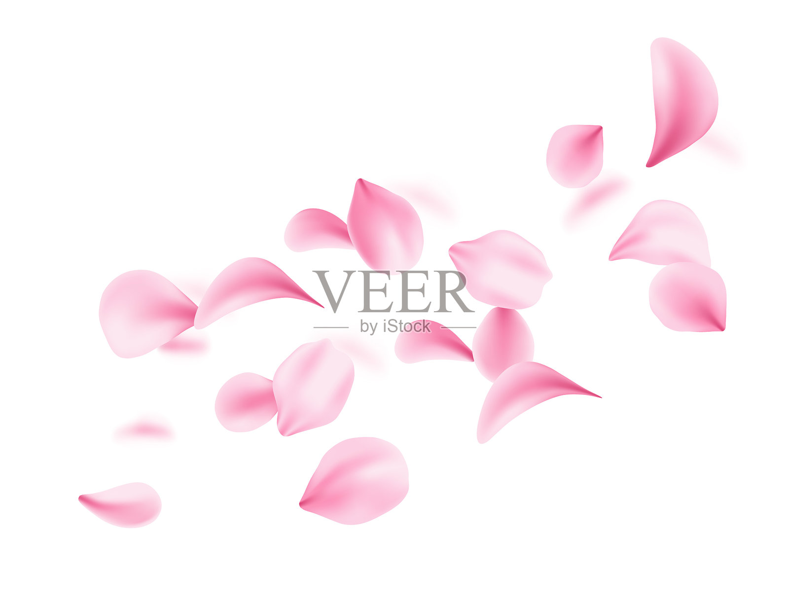 飞舞的柔软粉色花瓣在空中飘散。3D真实风格。花瓣和叶子的多样形状集合。矢量插图，背景为白色。插画图片素材