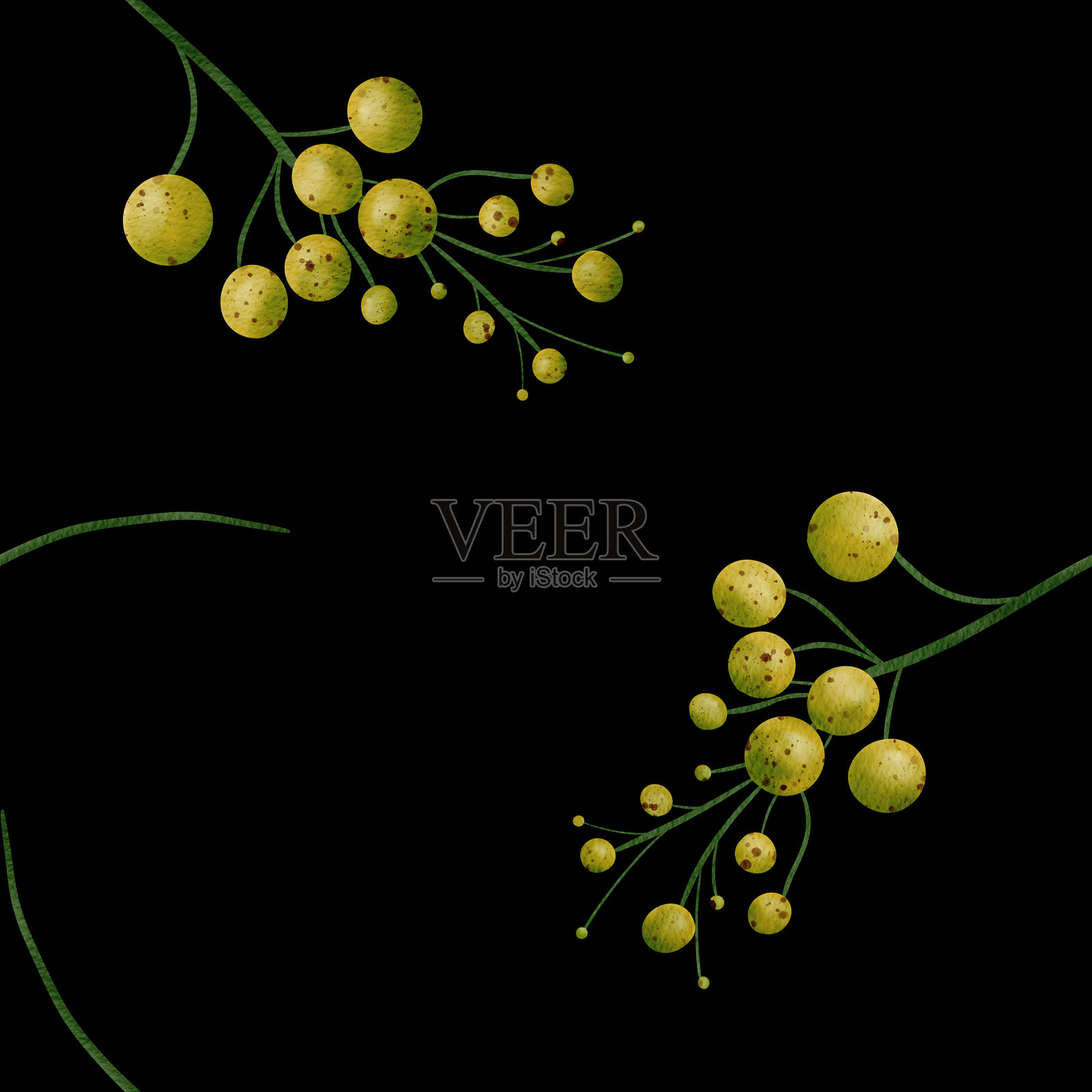 美丽的橄榄和绿色浆果插画图片素材