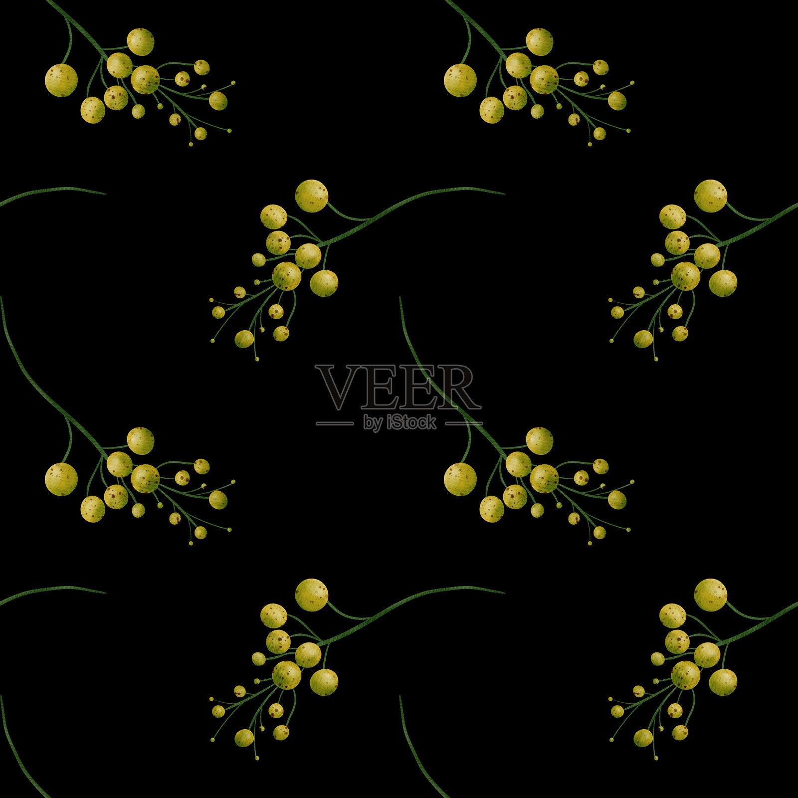 美丽的橄榄和绿色浆果插画图片素材