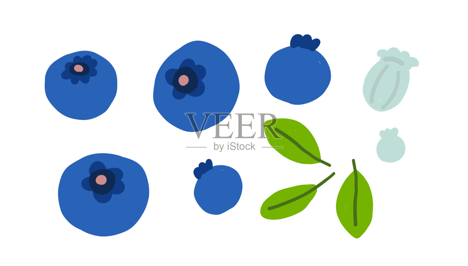 手绘蓝莓与绿色叶子和花蕾插画图片素材