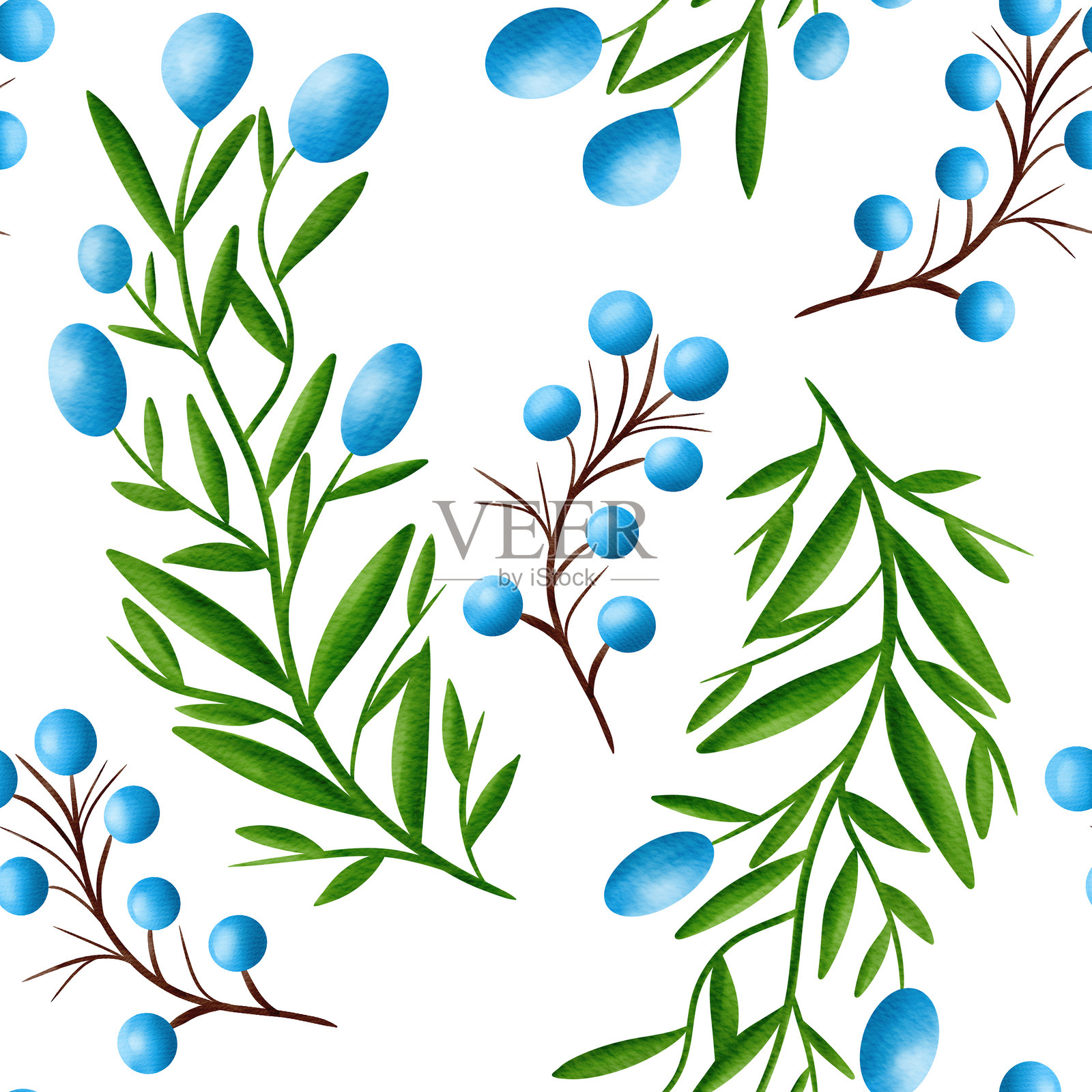 美丽的蓝莓和带叶子的绿色枝条插画图片素材