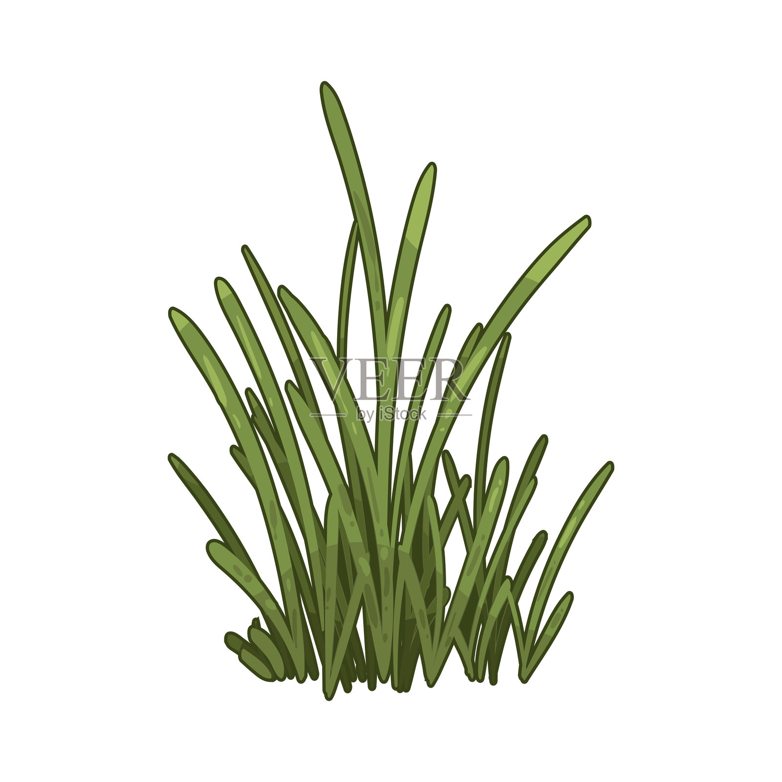 草插画图片素材