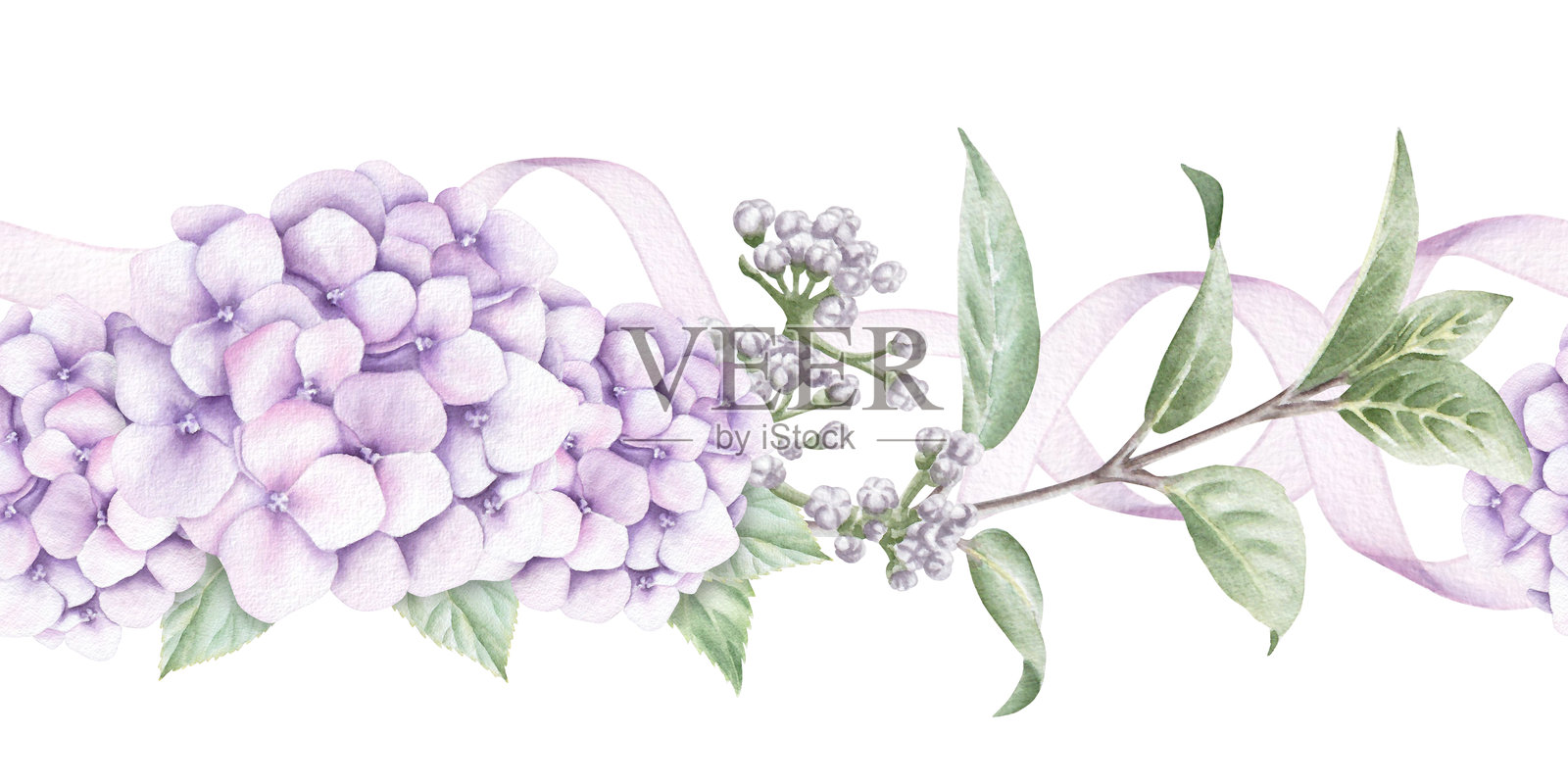 粉色绣球花、叶子、花蕾和丝带的边框，背景为白色。水彩无缝手绘插图。插画图片素材