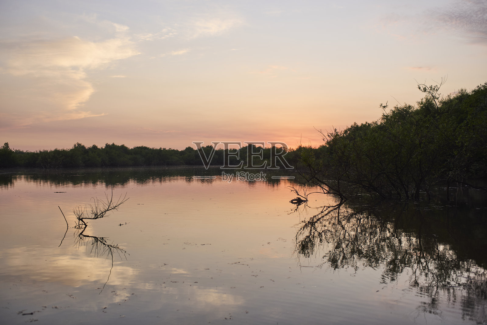 宁静的场景，阿根廷埃尔帕尔马国家公园小溪上的日出照片摄影图片