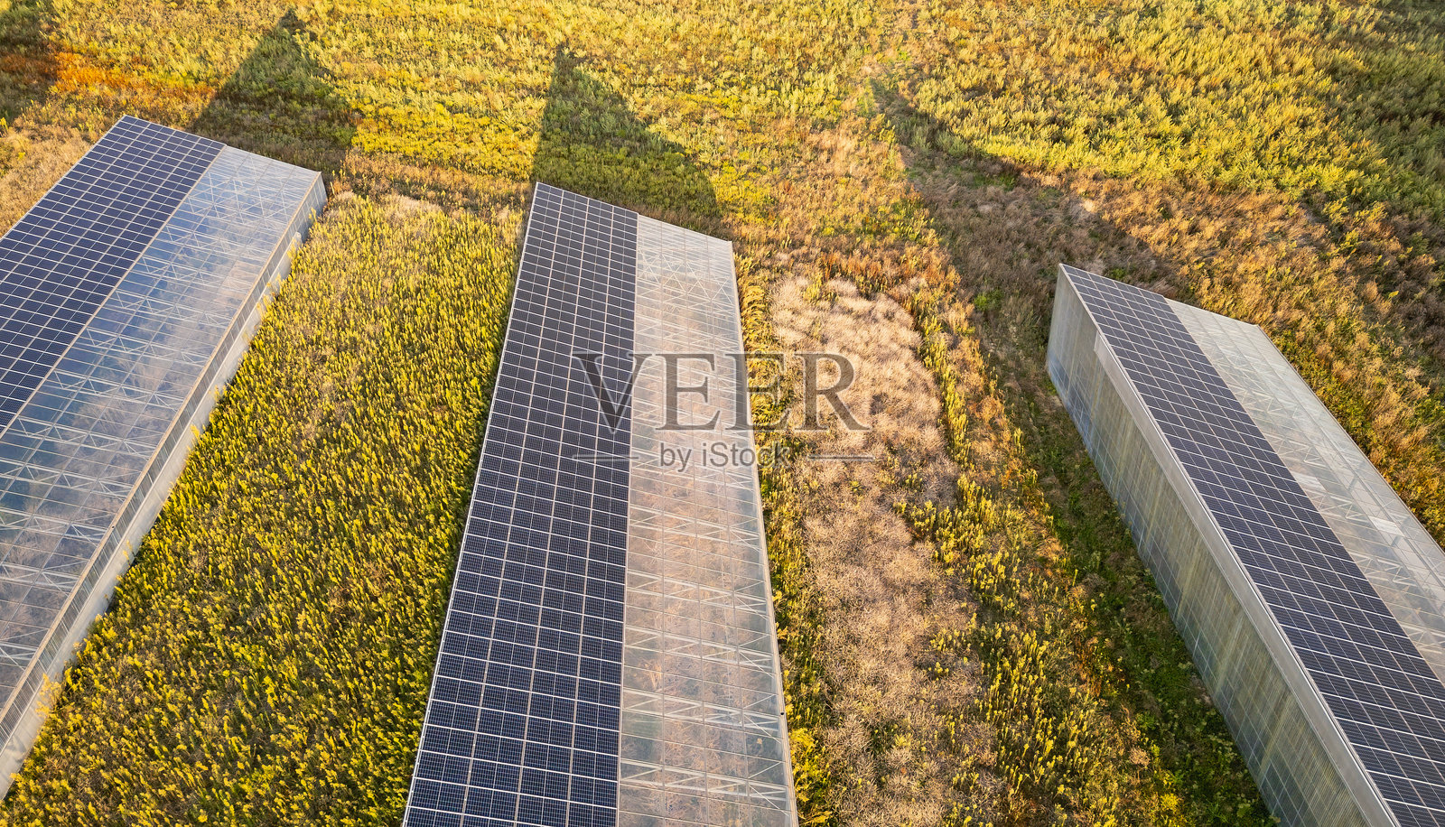 现代太阳能温室的鸟瞰图，配有光伏面板屋顶，展示可持续农业与可再生能源的结合，适用于生态农业和清洁能源生产。照片摄影图片