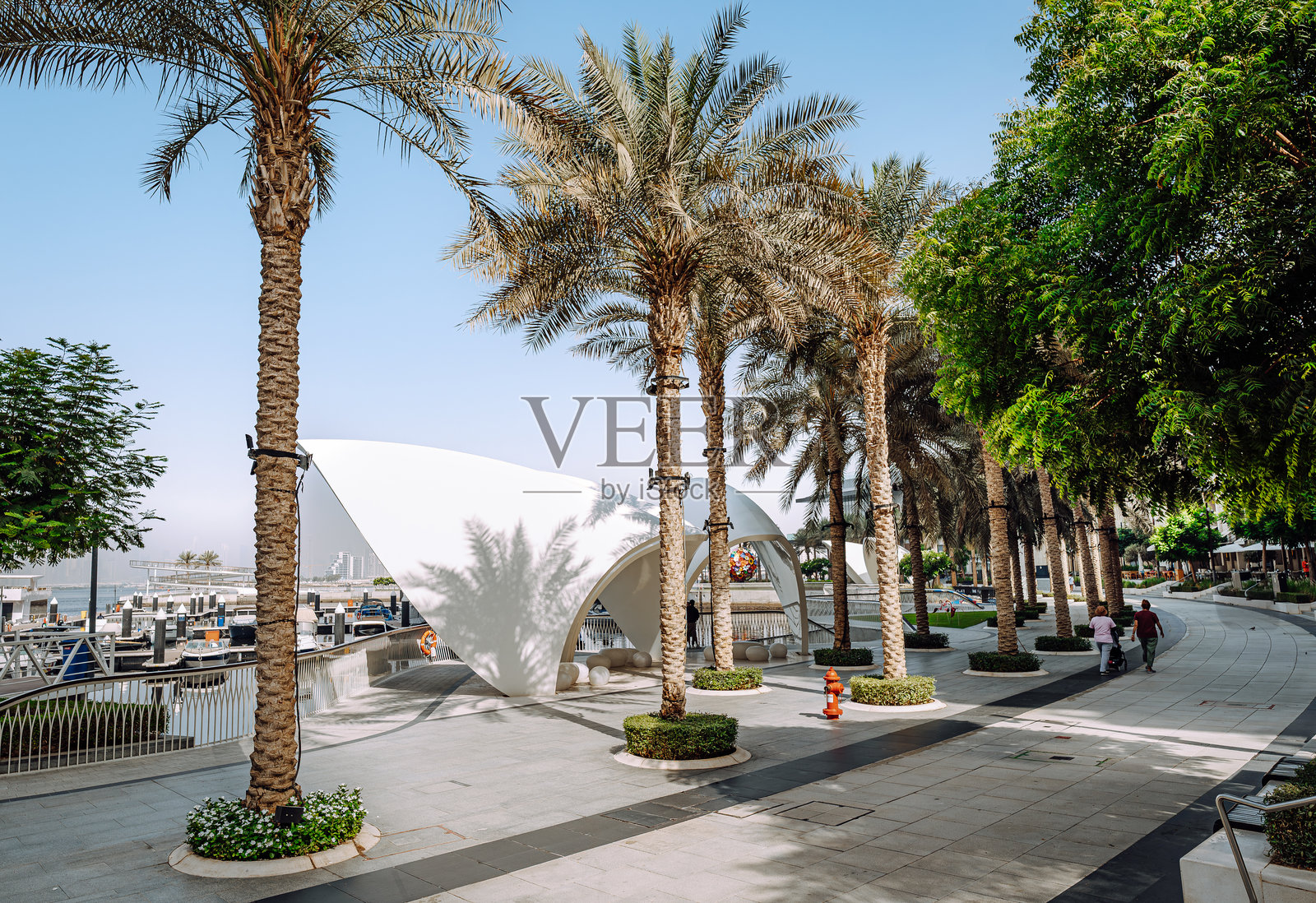 风景如画的海滨长廊，棕榈树与现代建筑相映成趣照片摄影图片