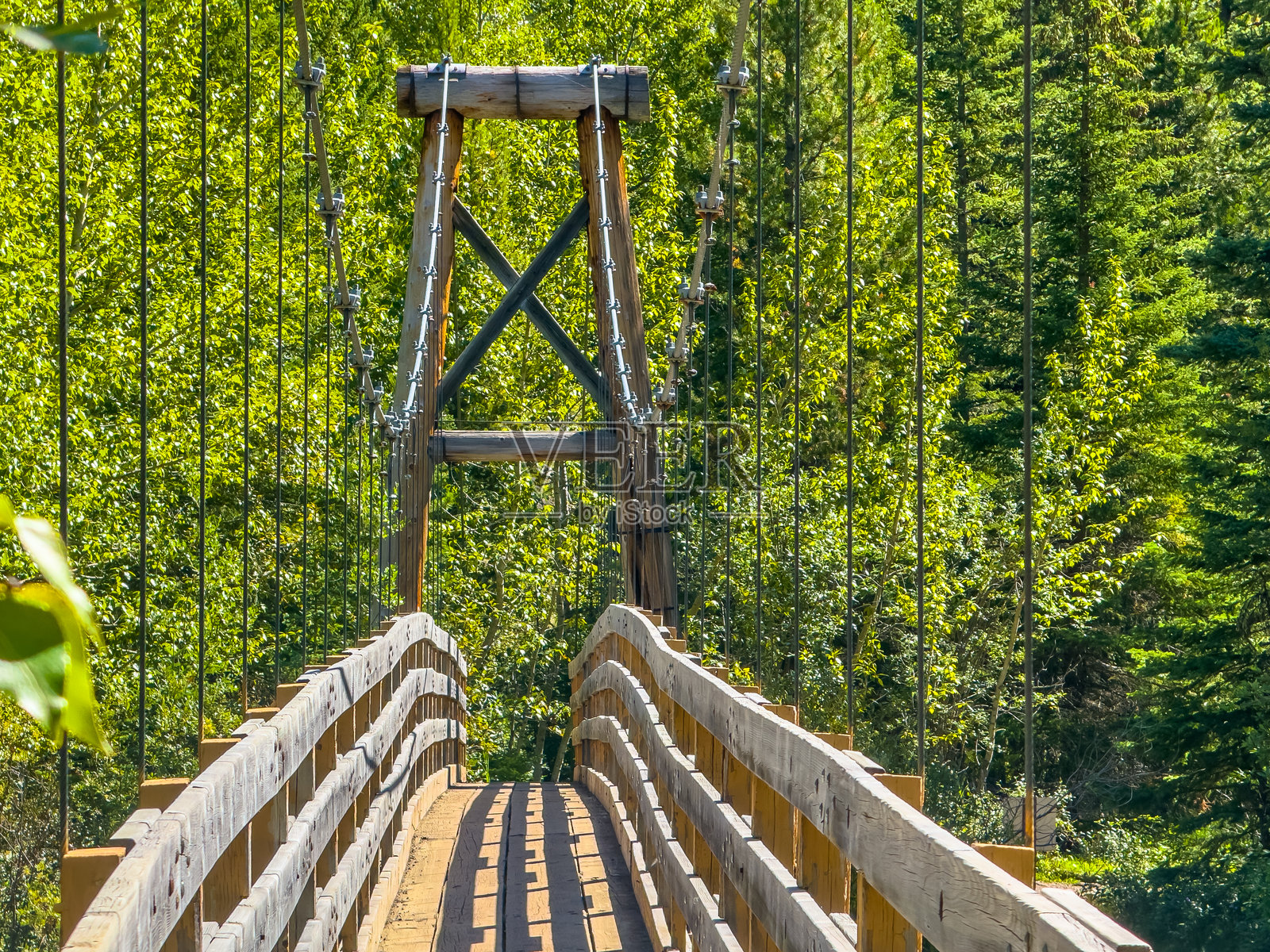 斯普雷谷省立公园内一座风景如画的木质悬索桥，穿过郁郁葱葱的森林，为徒步旅行者提供通往大自然的道路。照片摄影图片