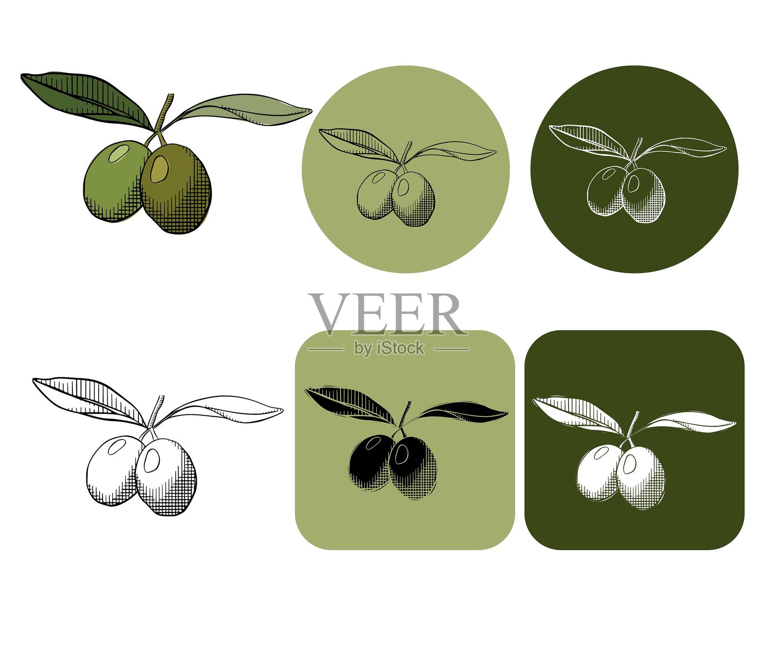 橄榄枝与叶子，标志设计。矢量图形线条墨水彩色插图。线条绘图，橄榄的轮廓，扁平设计。一个简单的装饰元素，适合设计使用。插画图片素材