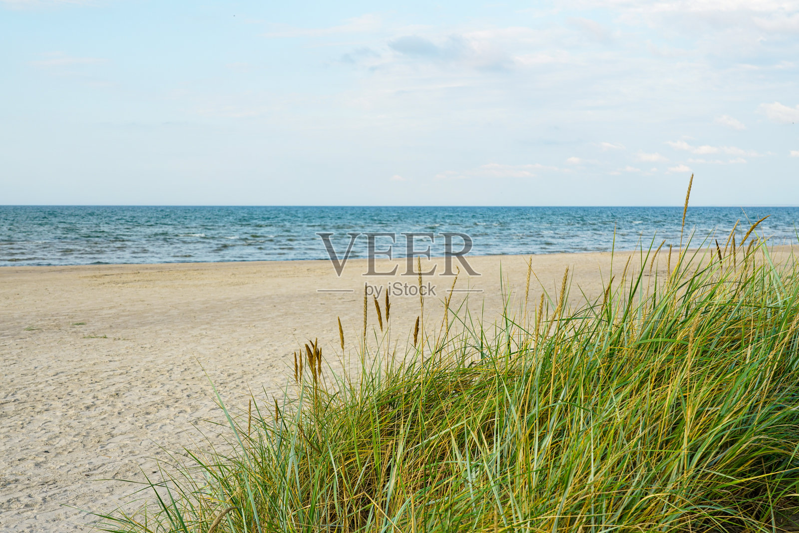 宁静夏日的蓝天下，沙滩上有海岸沙丘草和温柔的海浪照片摄影图片
