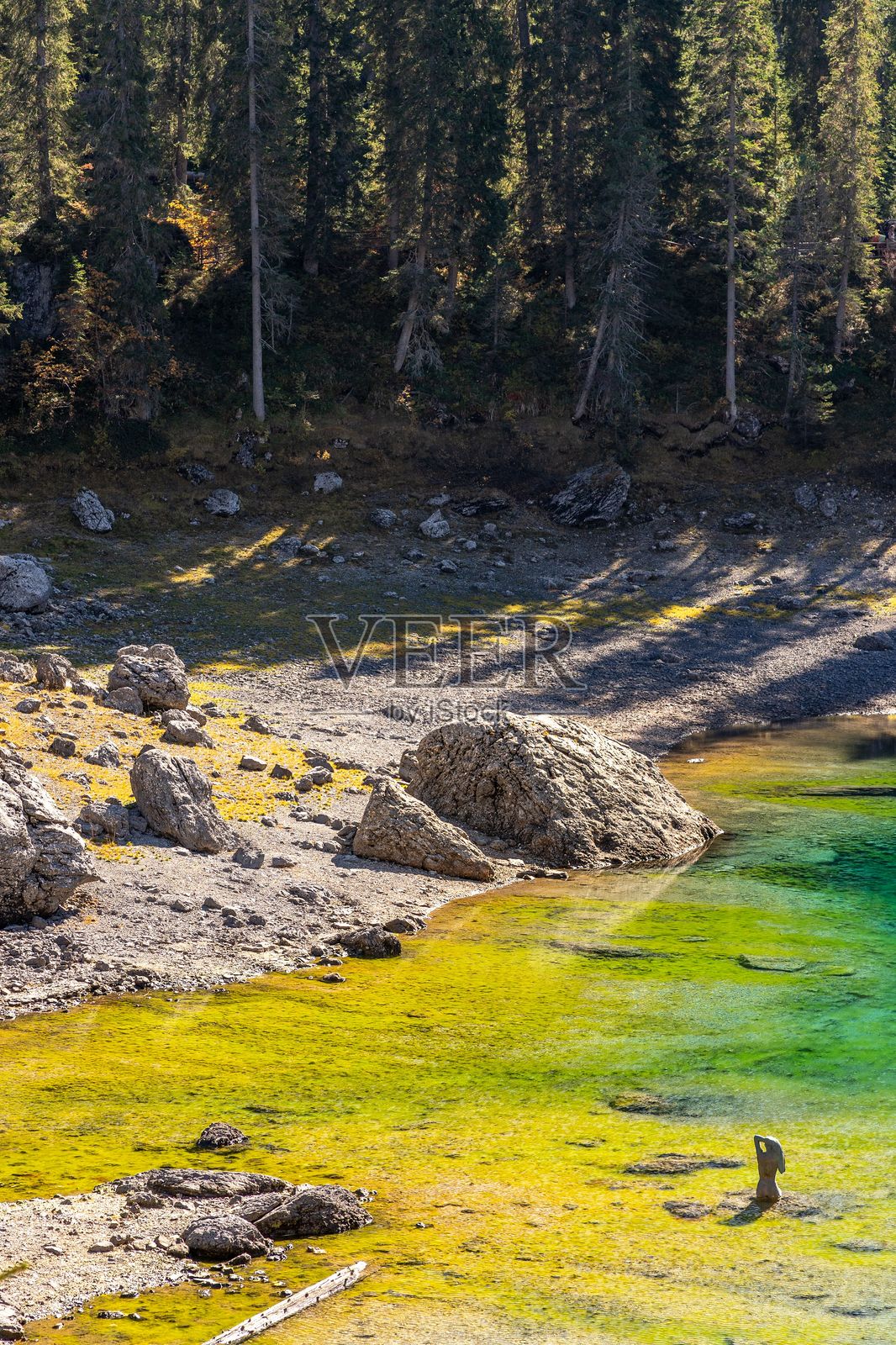 湖边的宁静，游泳者在清澈的绿水中。照片摄影图片