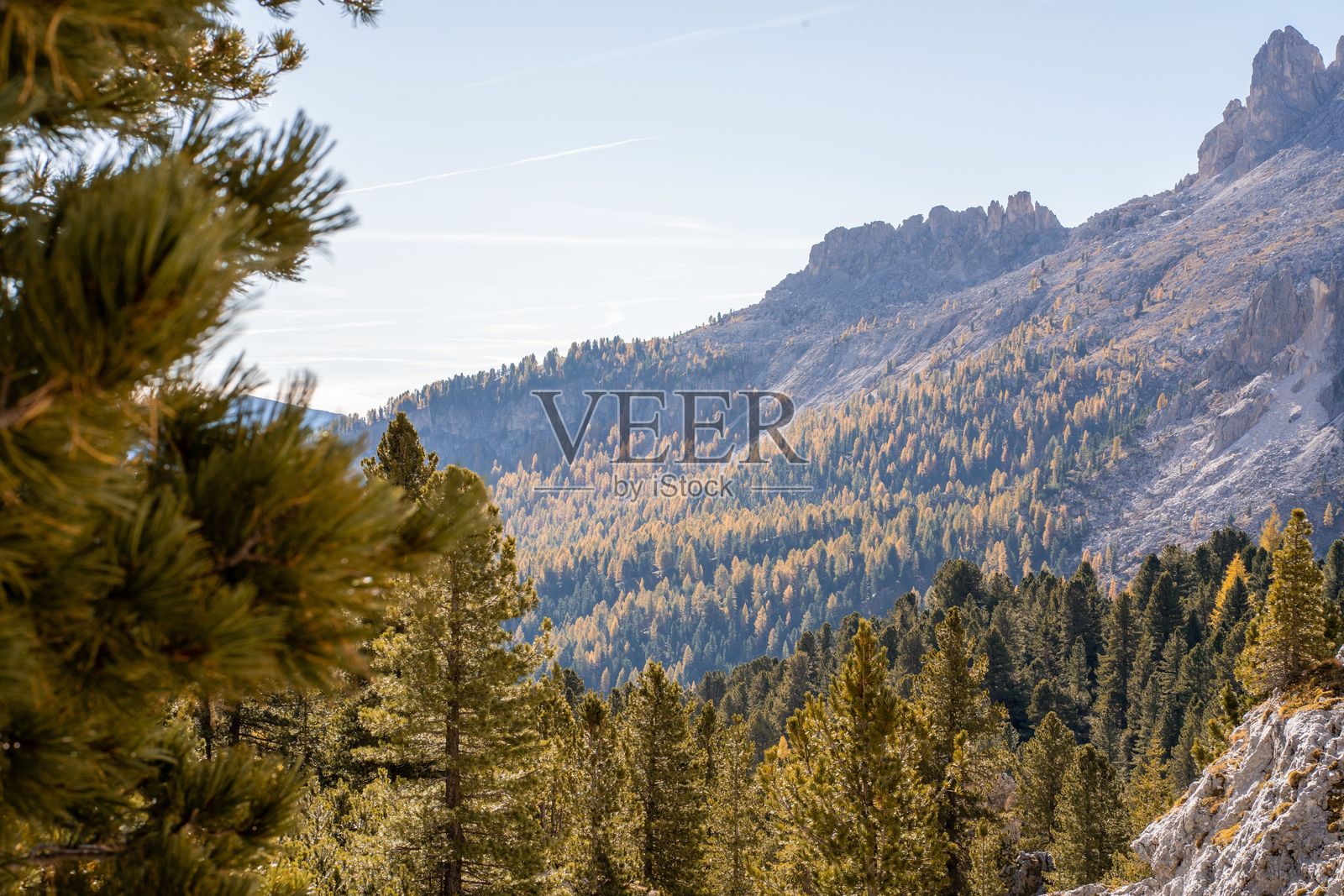 秋季树叶的山地风景照片摄影图片