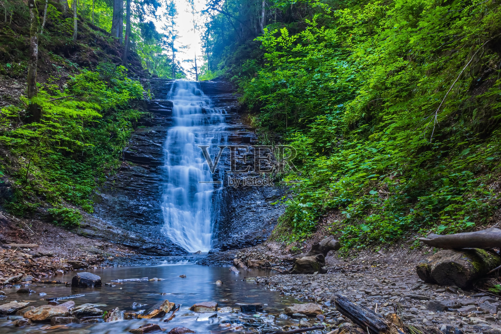 森林，喀尔巴阡山脉，自然照片 - 欧洲，东欧，罗马尼亚照片摄影图片