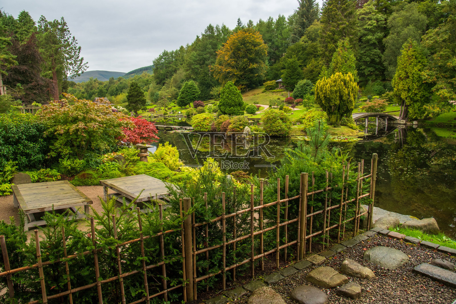 日本庭园照片摄影图片